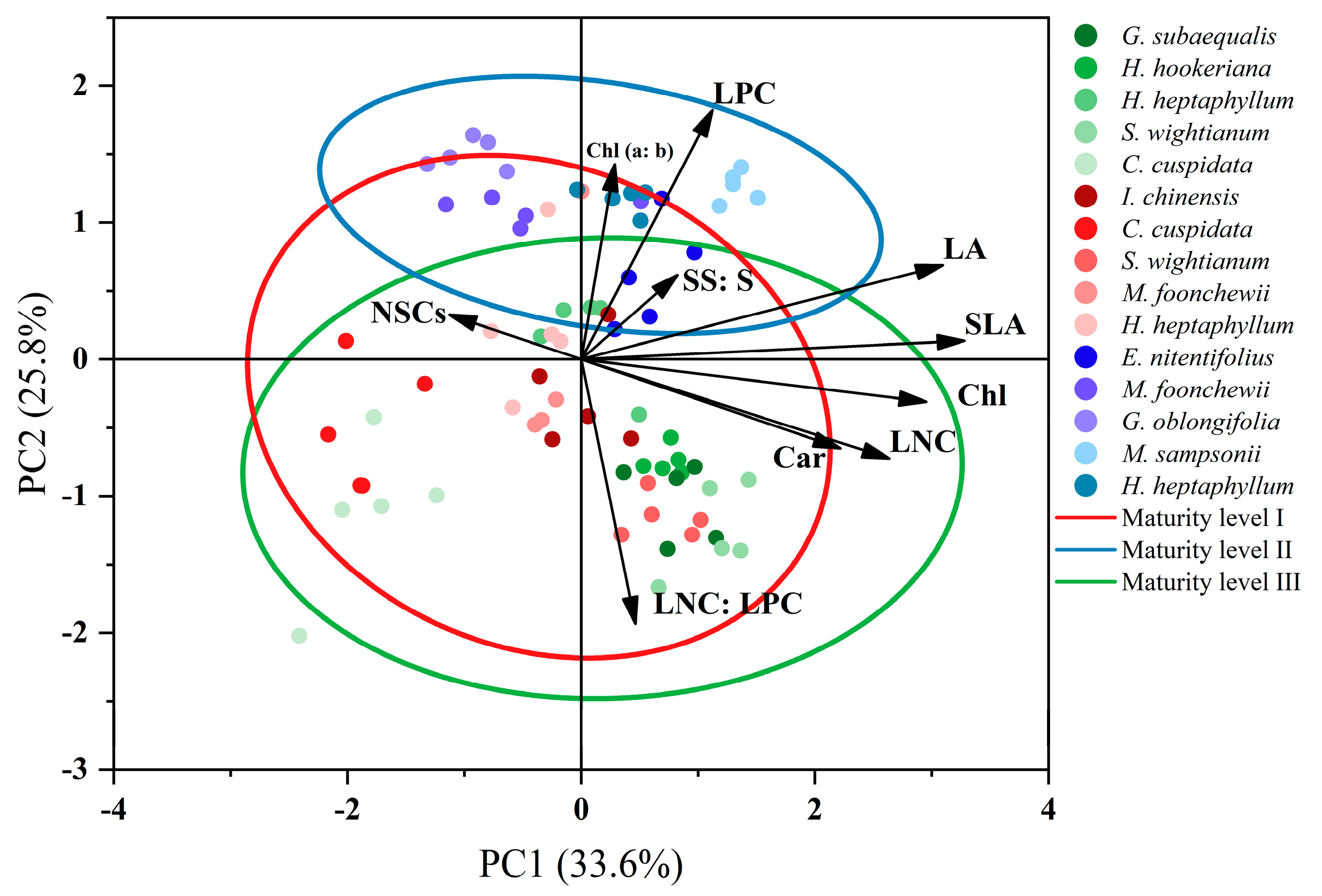 Forests 15 01383 g008 Forests 15 01383 g008