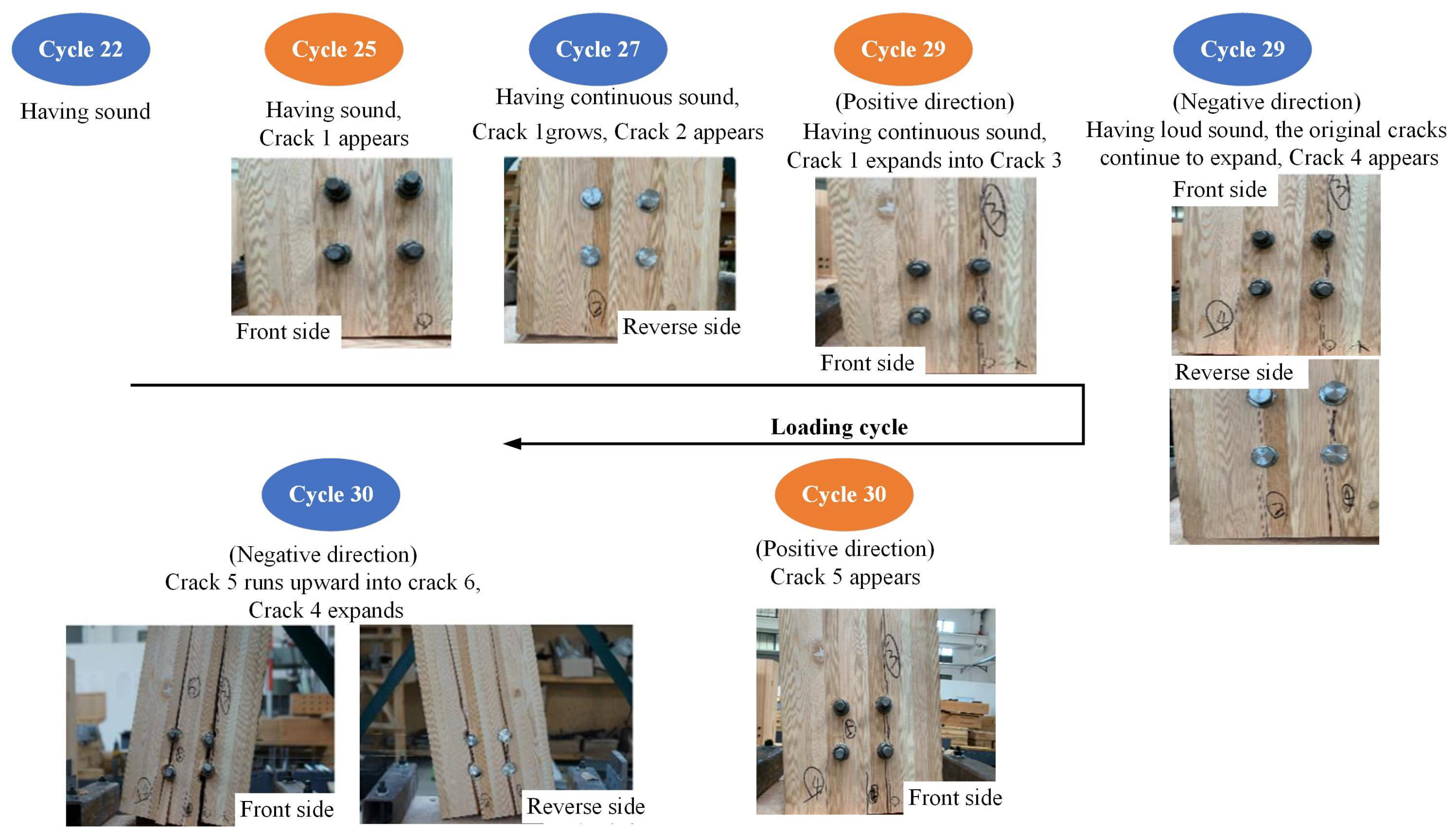 Forests 15 01393 g005