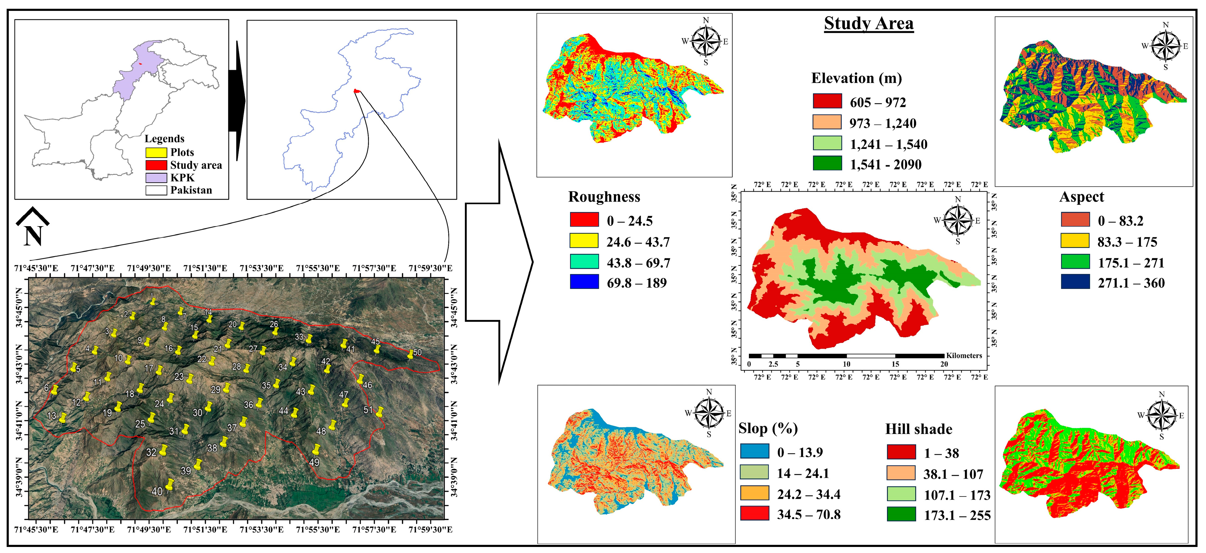 Forests 15 01395 g001 Forests 15 01395 g001