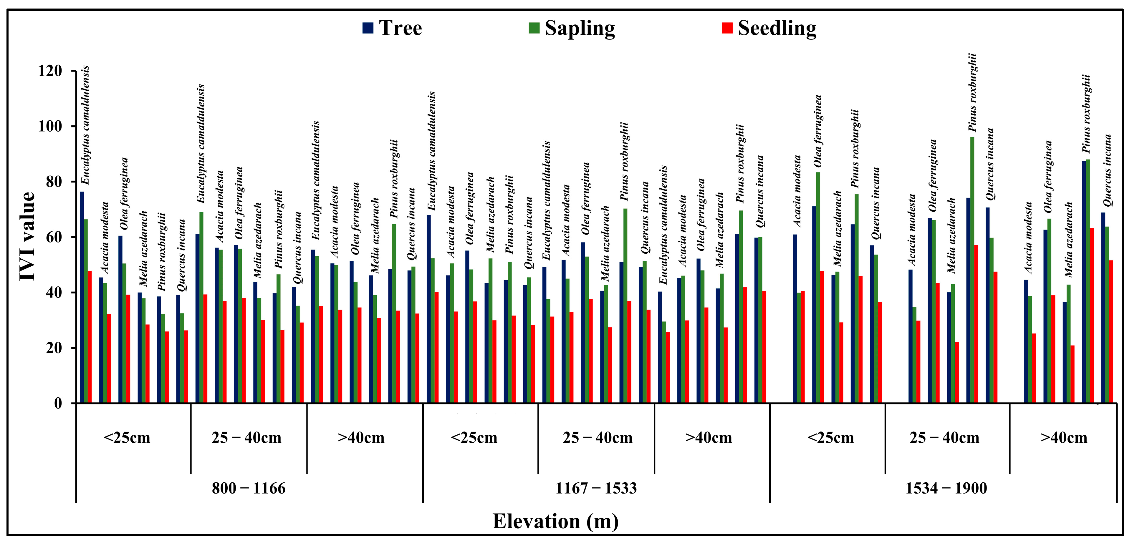 Forests 15 01395 g004 Forests 15 01395 g004