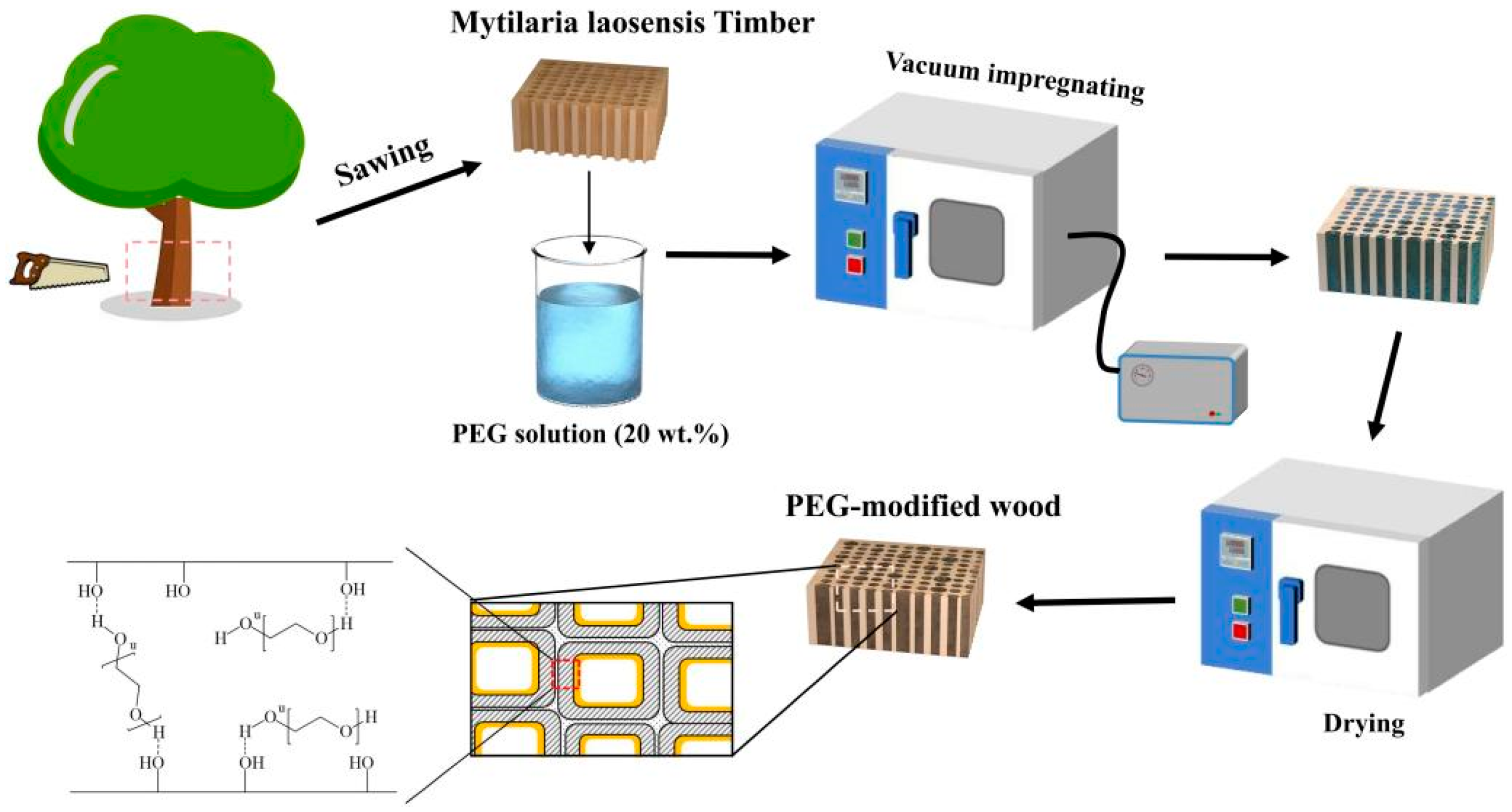 Forests 15 01401 g001
