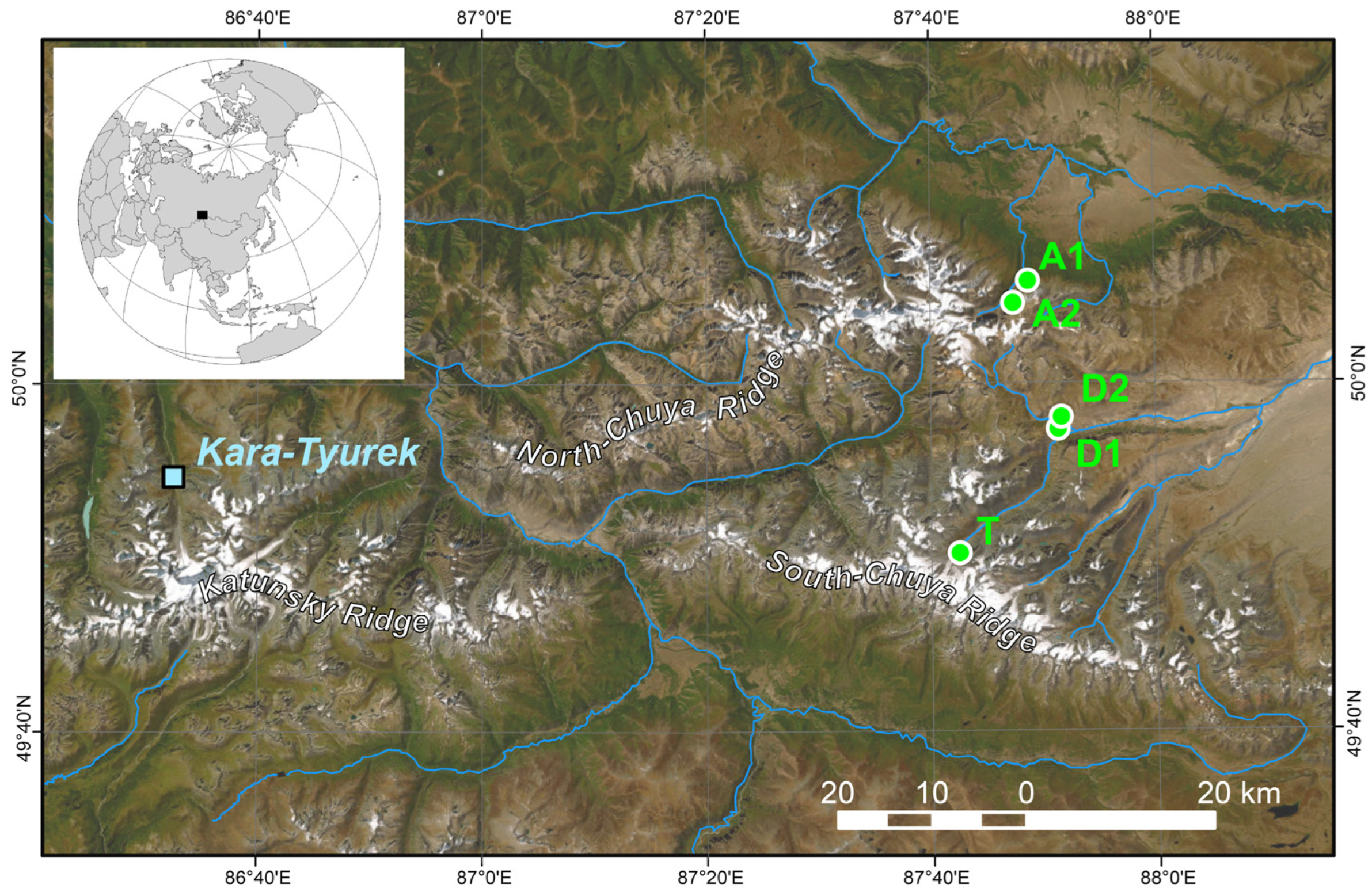 Forests 15 01402 g001