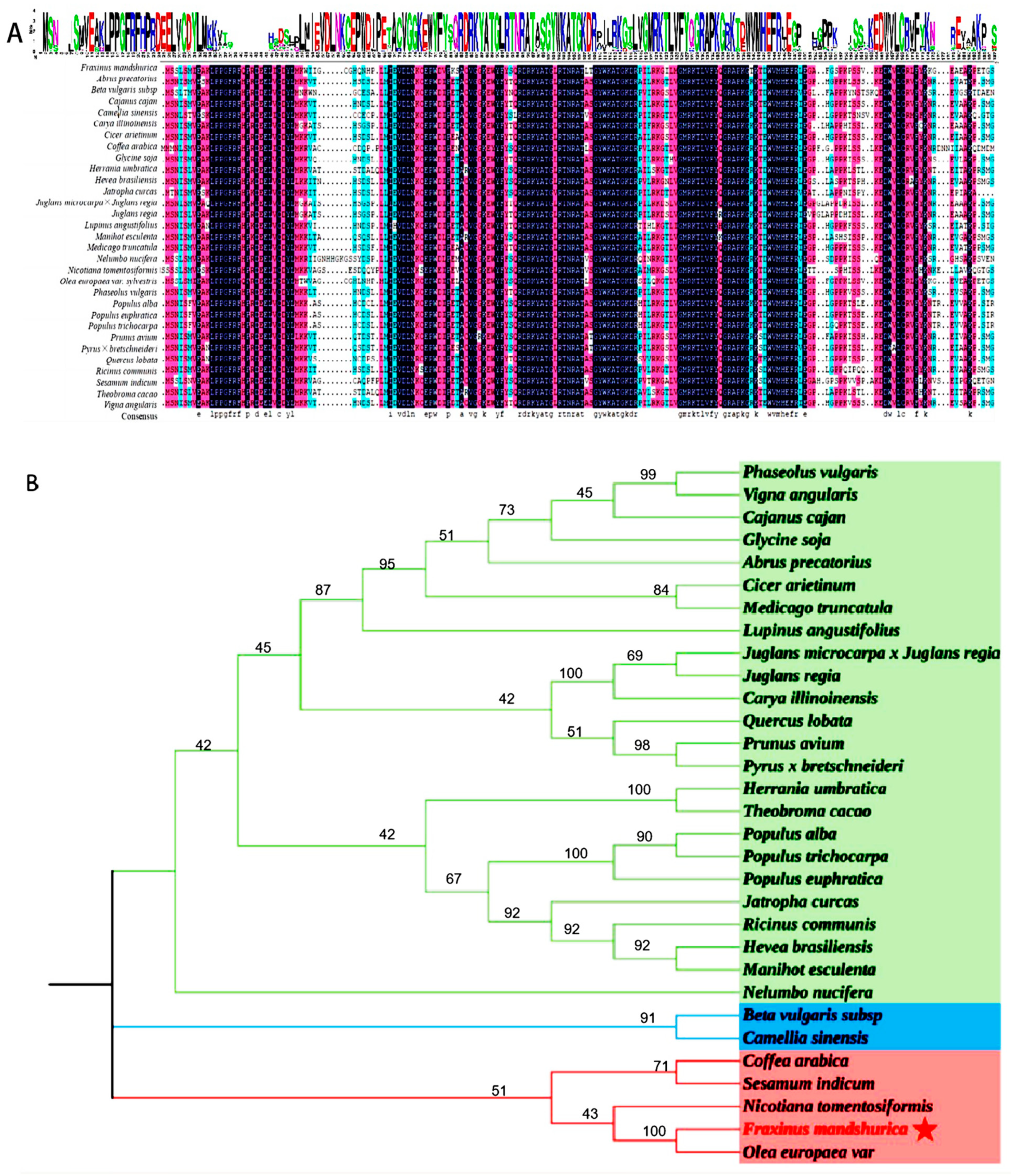 Forests 15 01405 g002