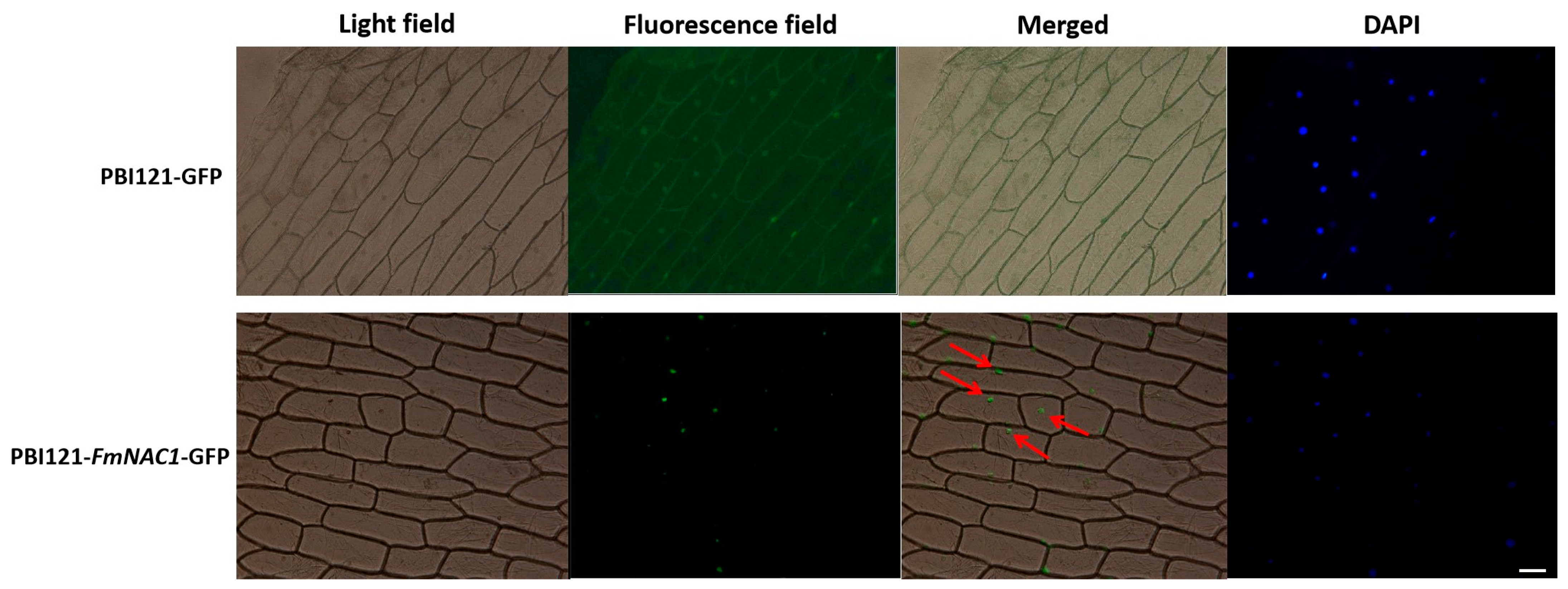 Forests 15 01405 g003