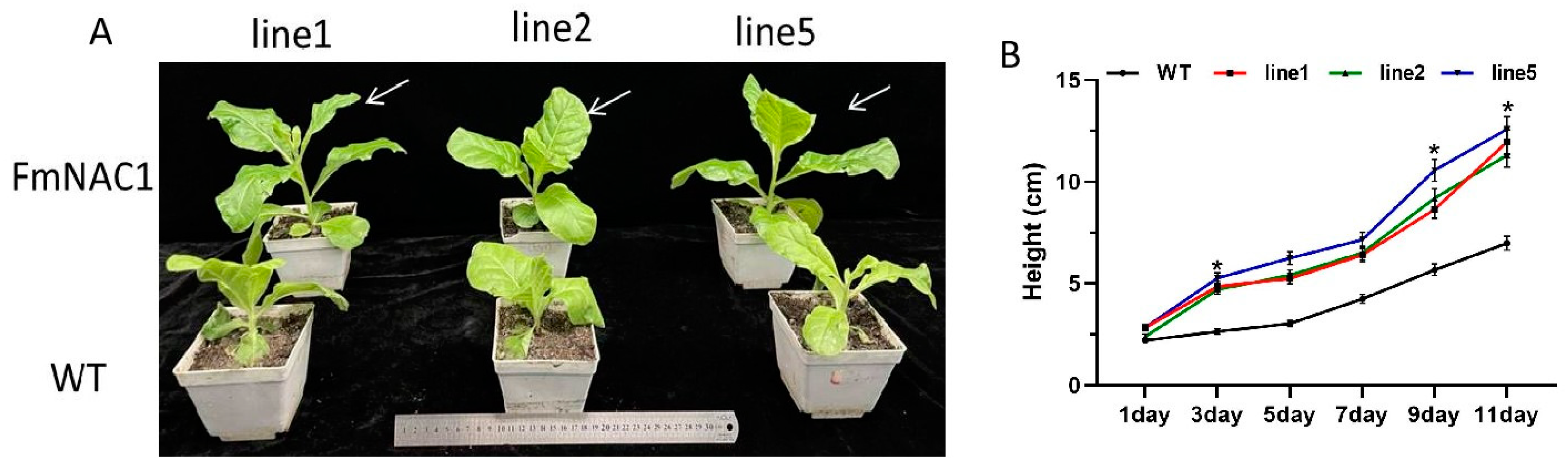 Forests 15 01405 g006