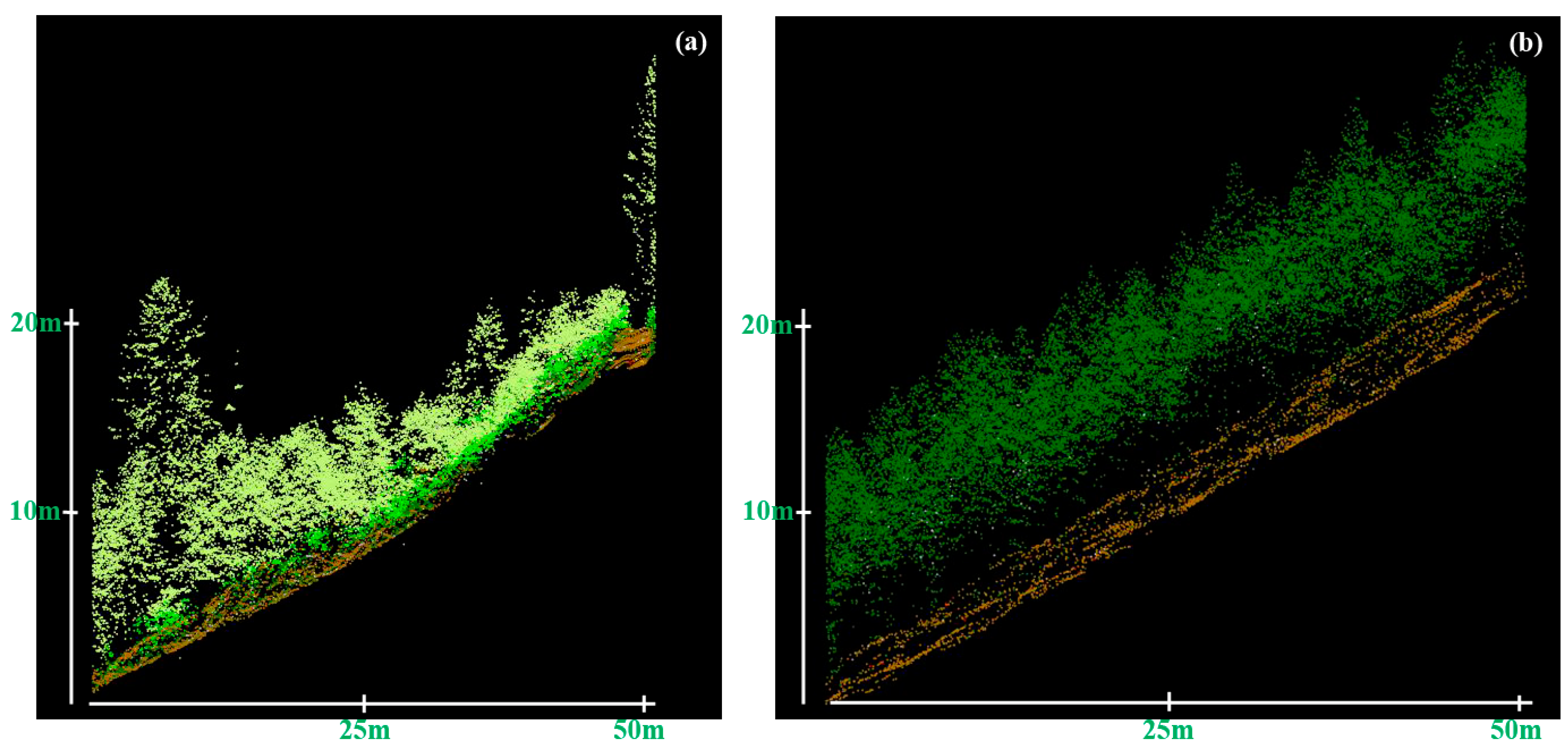 Forests 15 01407 g005 Forests 15 01407 g005