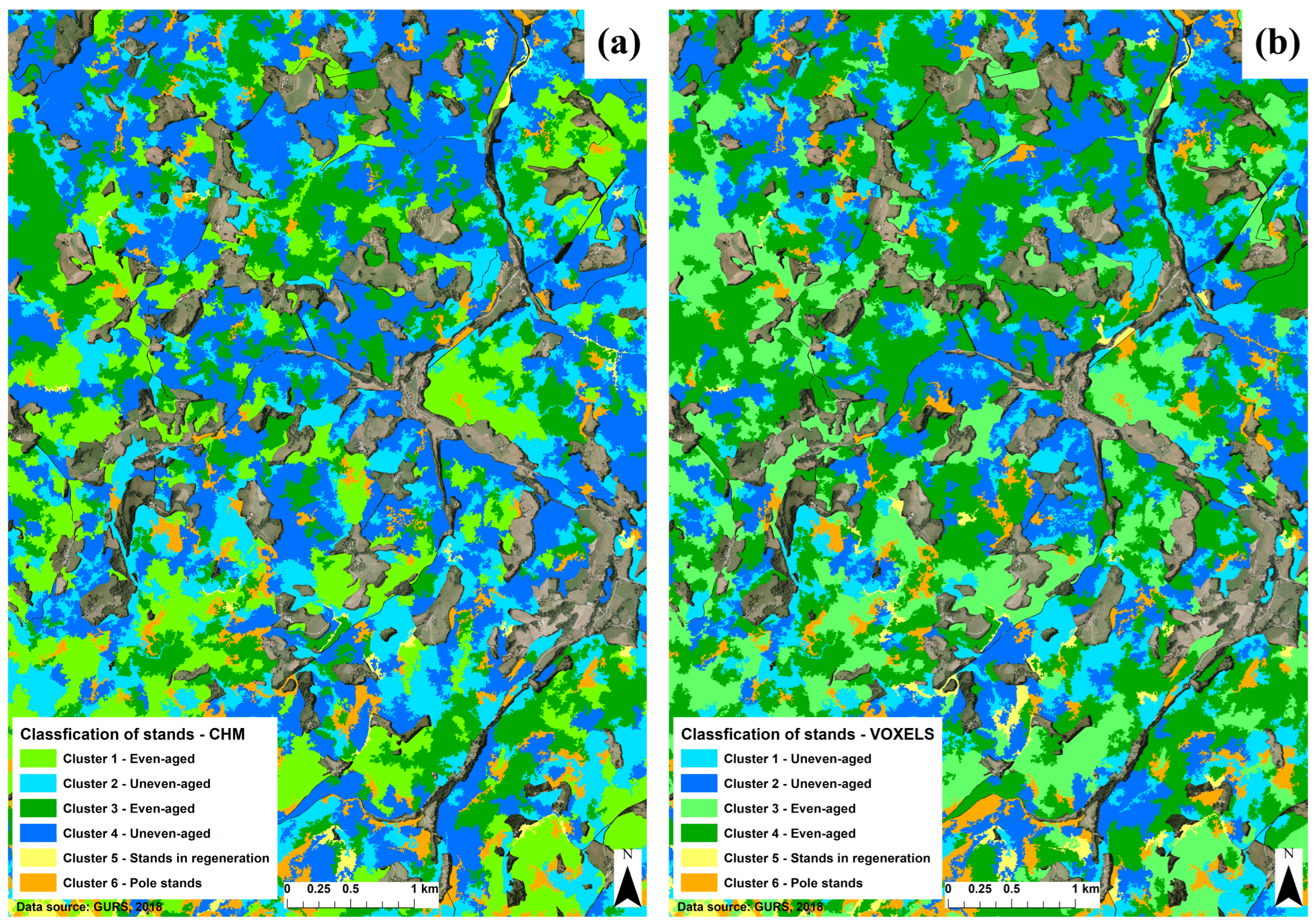 Forests 15 01407 g008 Forests 15 01407 g008