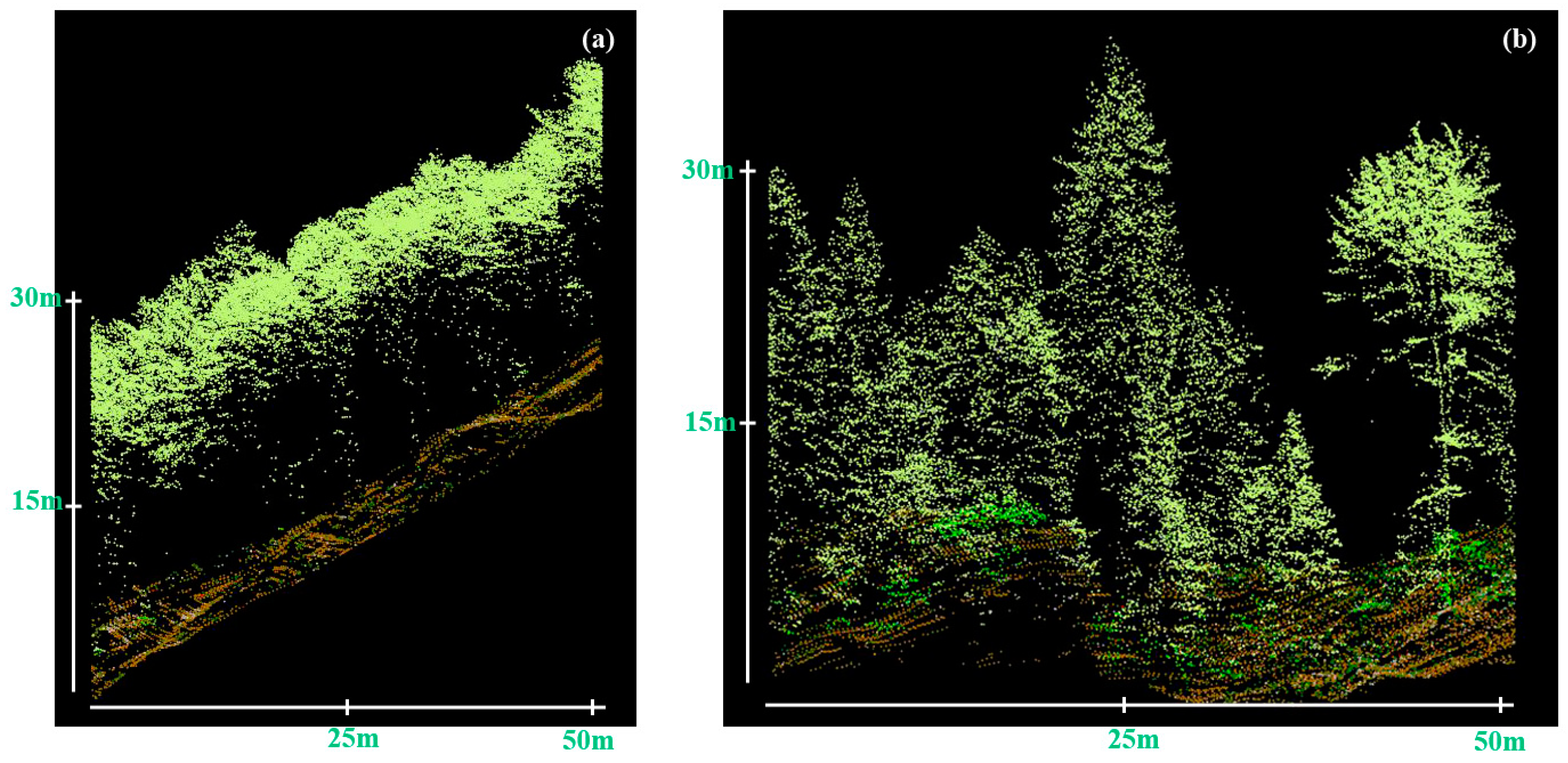 Forests 15 01407 g009 Forests 15 01407 g009