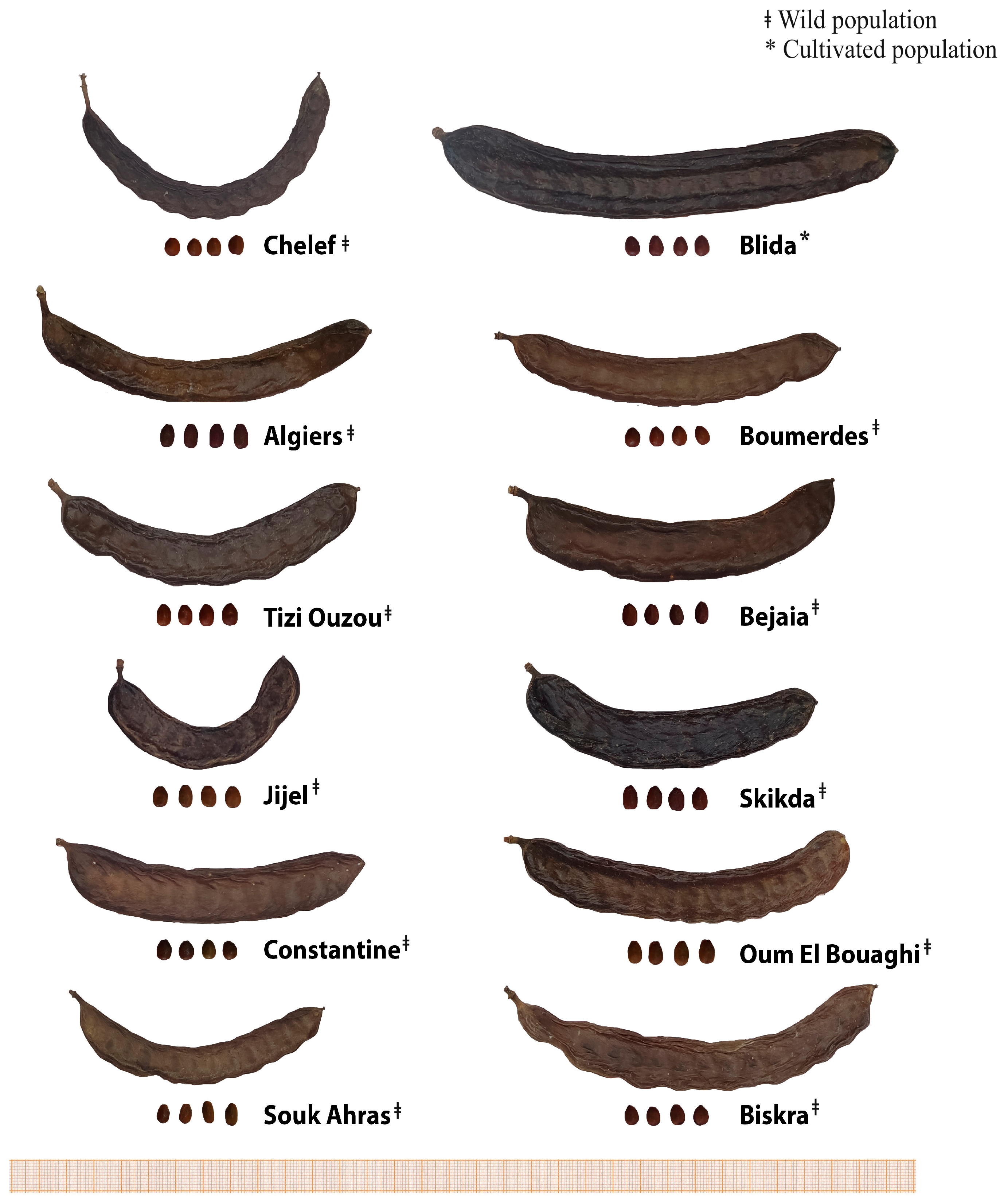 Forests 15 01423 g002