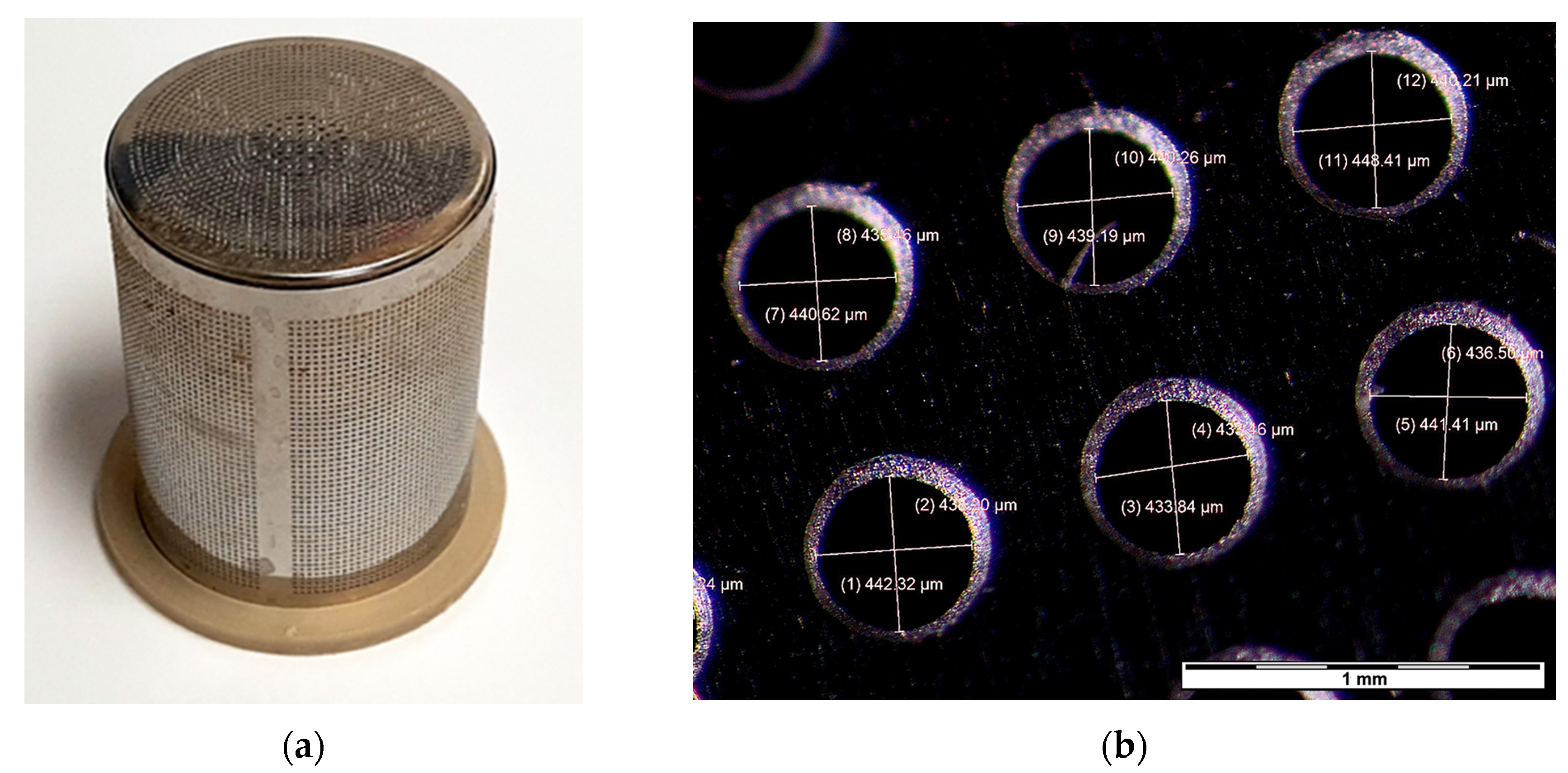 Forests 15 01426 g001