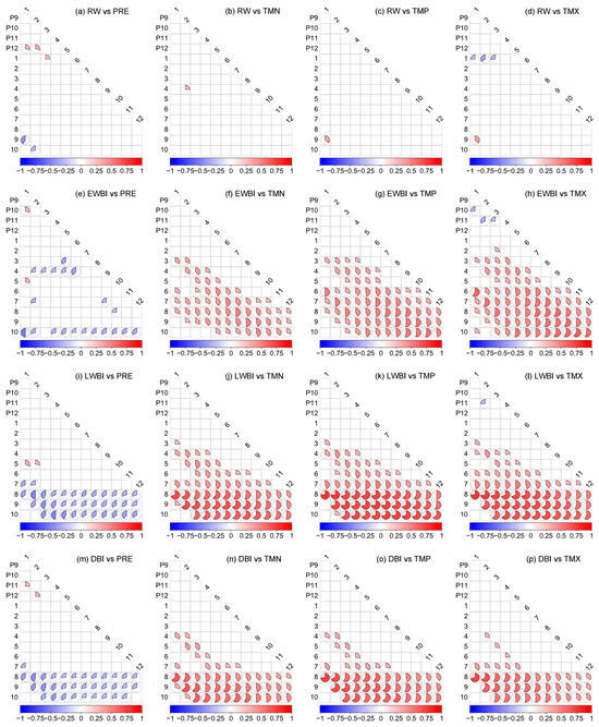 Tree Ring Blue Intensity-Based August Temperature Reconstruction