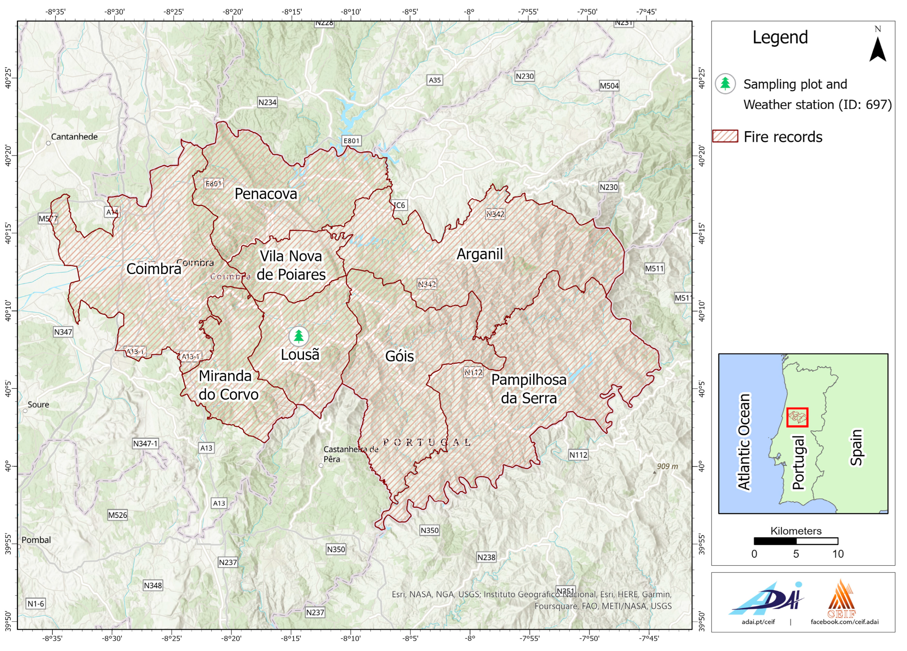 Forests 15 01429 g001