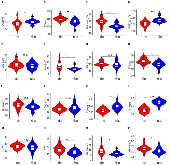 Differences in Leaf Functional Traits of Quercus rehderiana Differences in Leaf Functional Traits of Quercus rehderiana