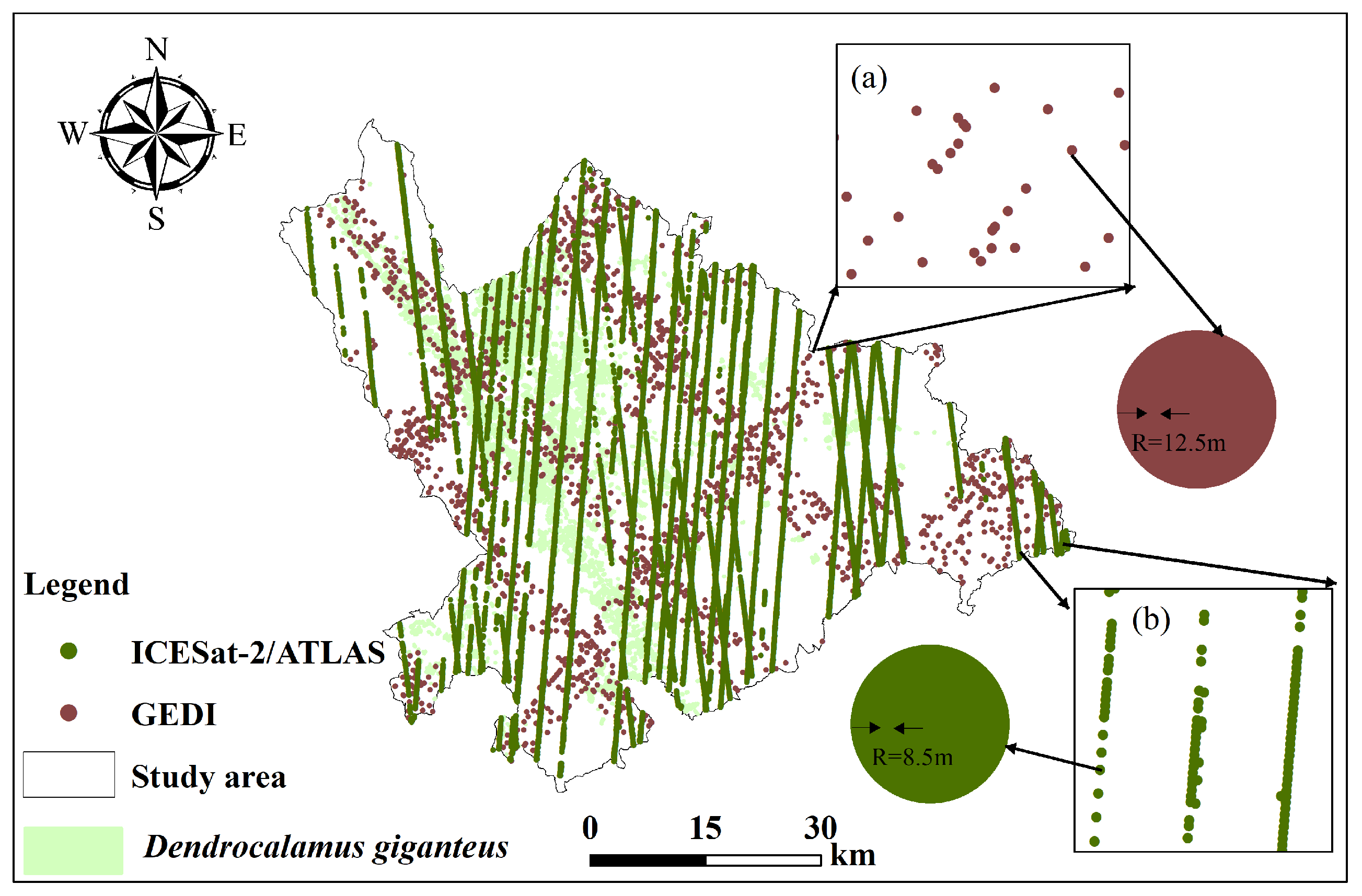 Forests 15 01440 g002