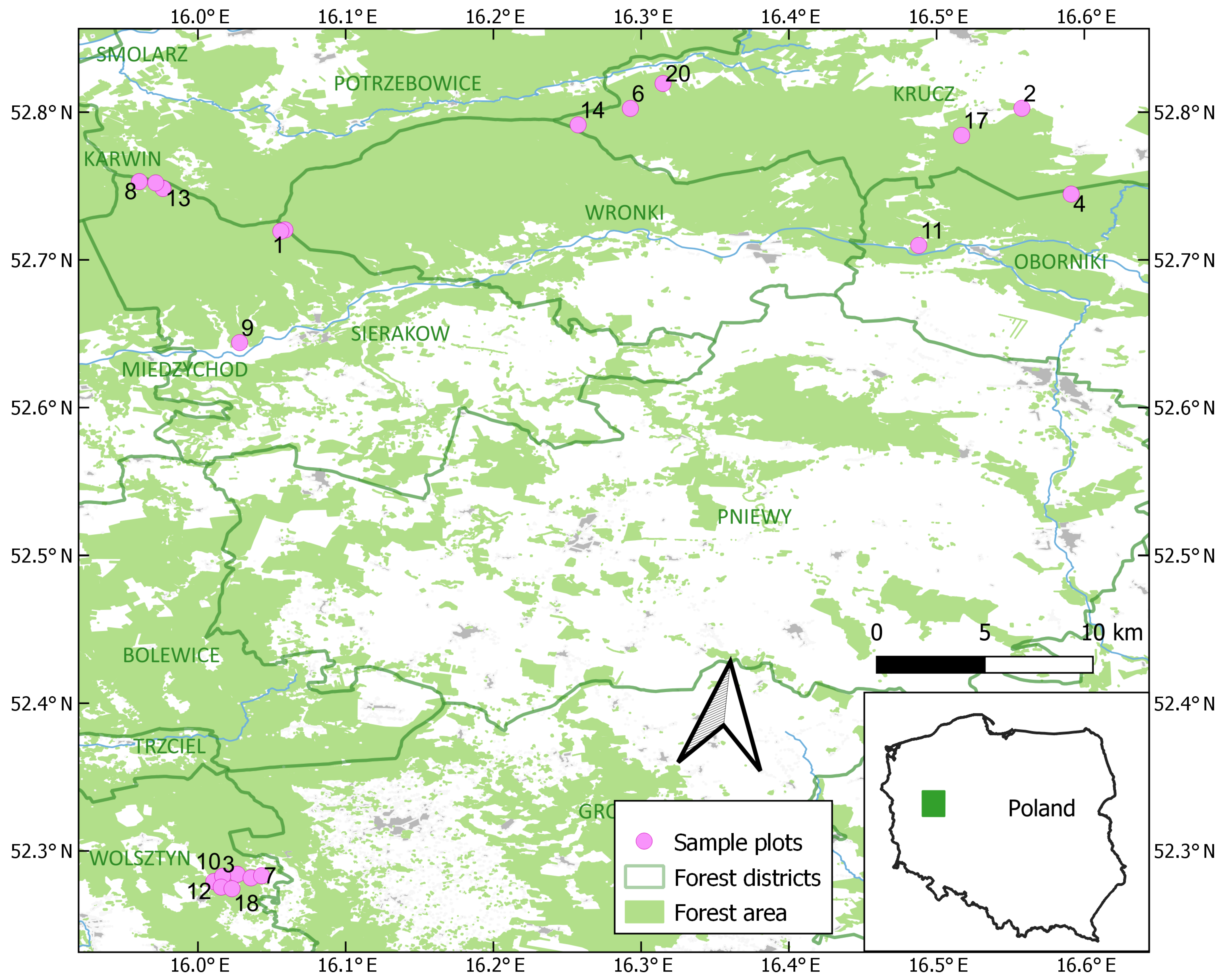 Forests 15 01454 g001 Forests 15 01454 g001