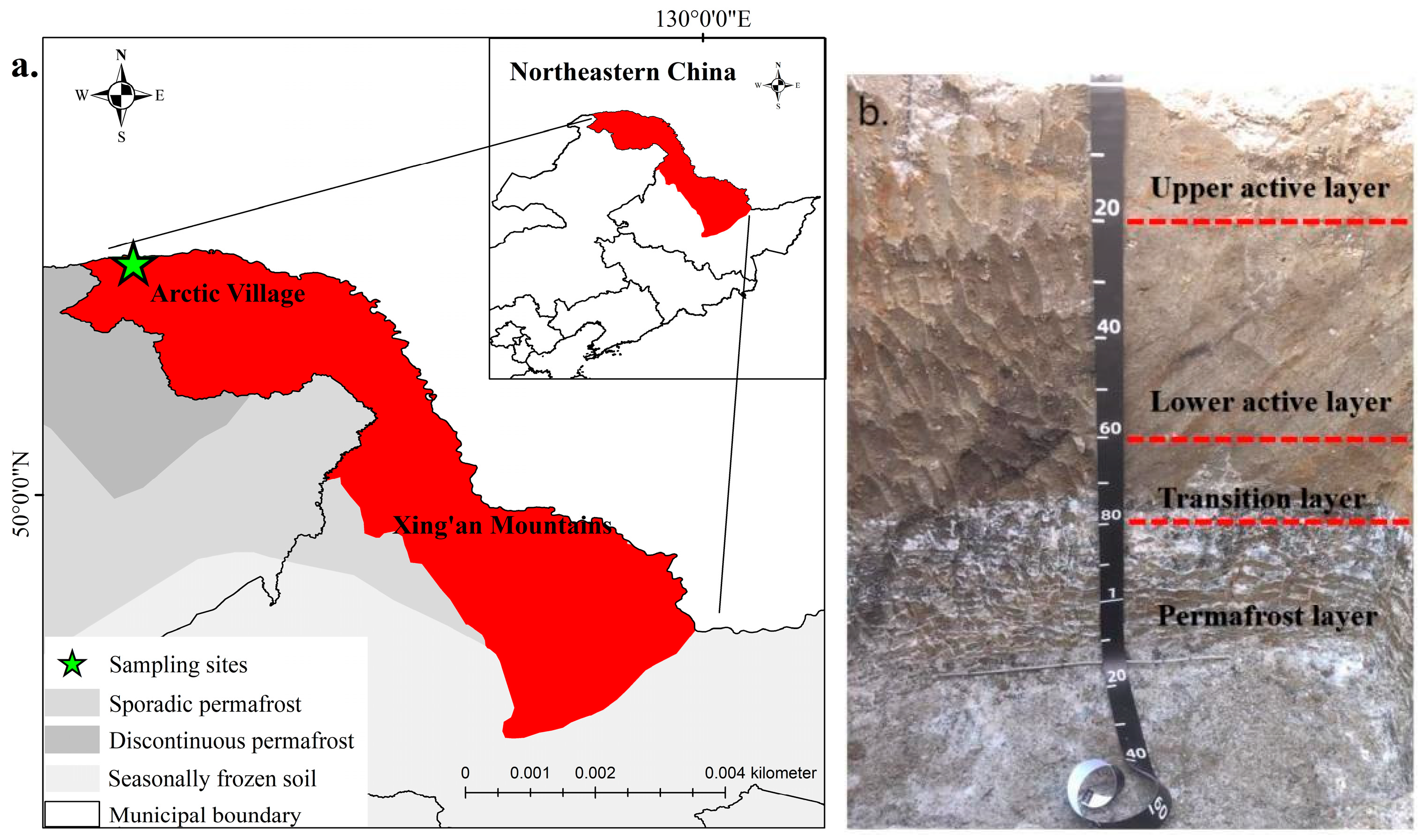 Forests 15 01456 g001