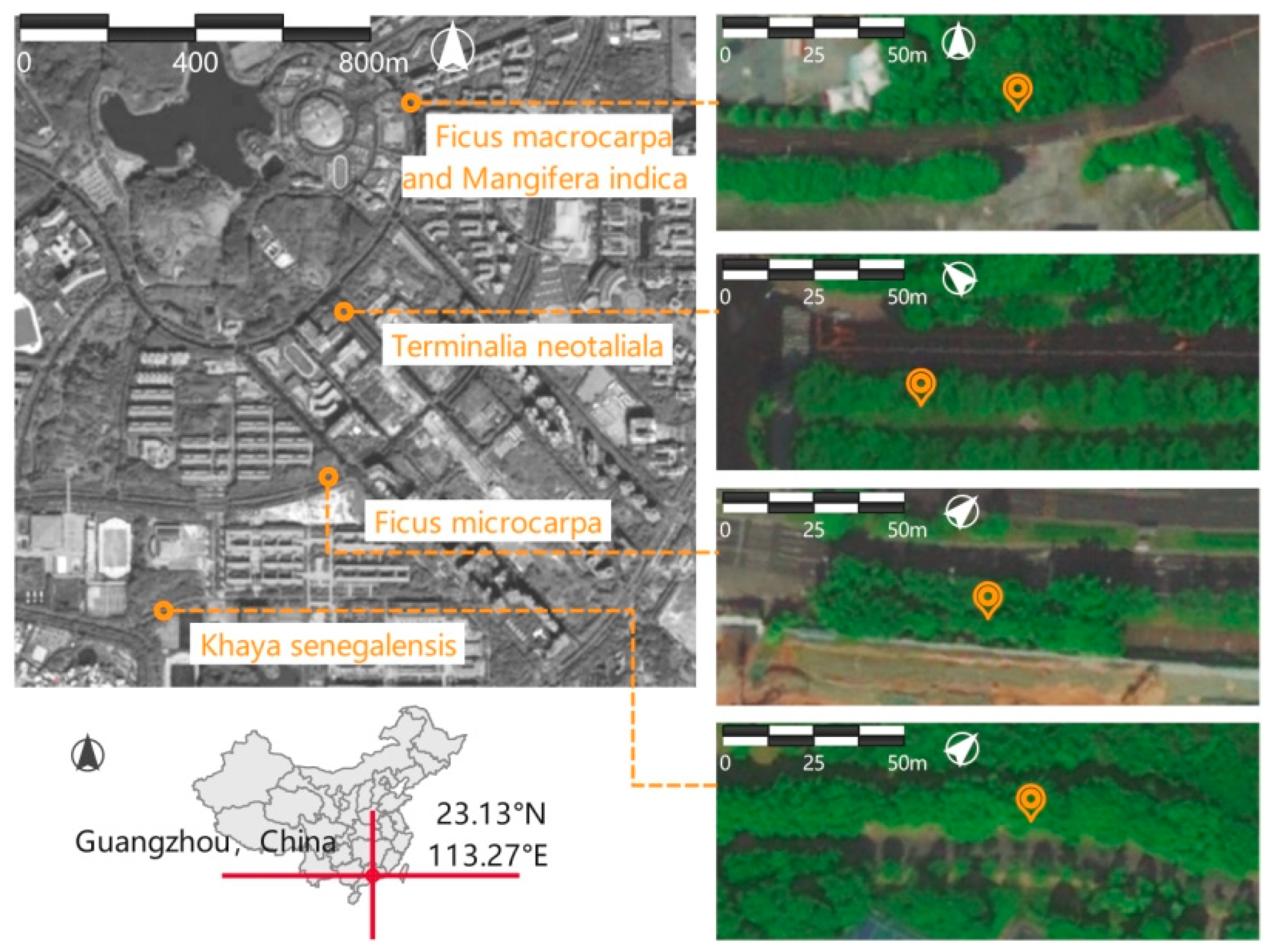 Forests 15 01459 g004
