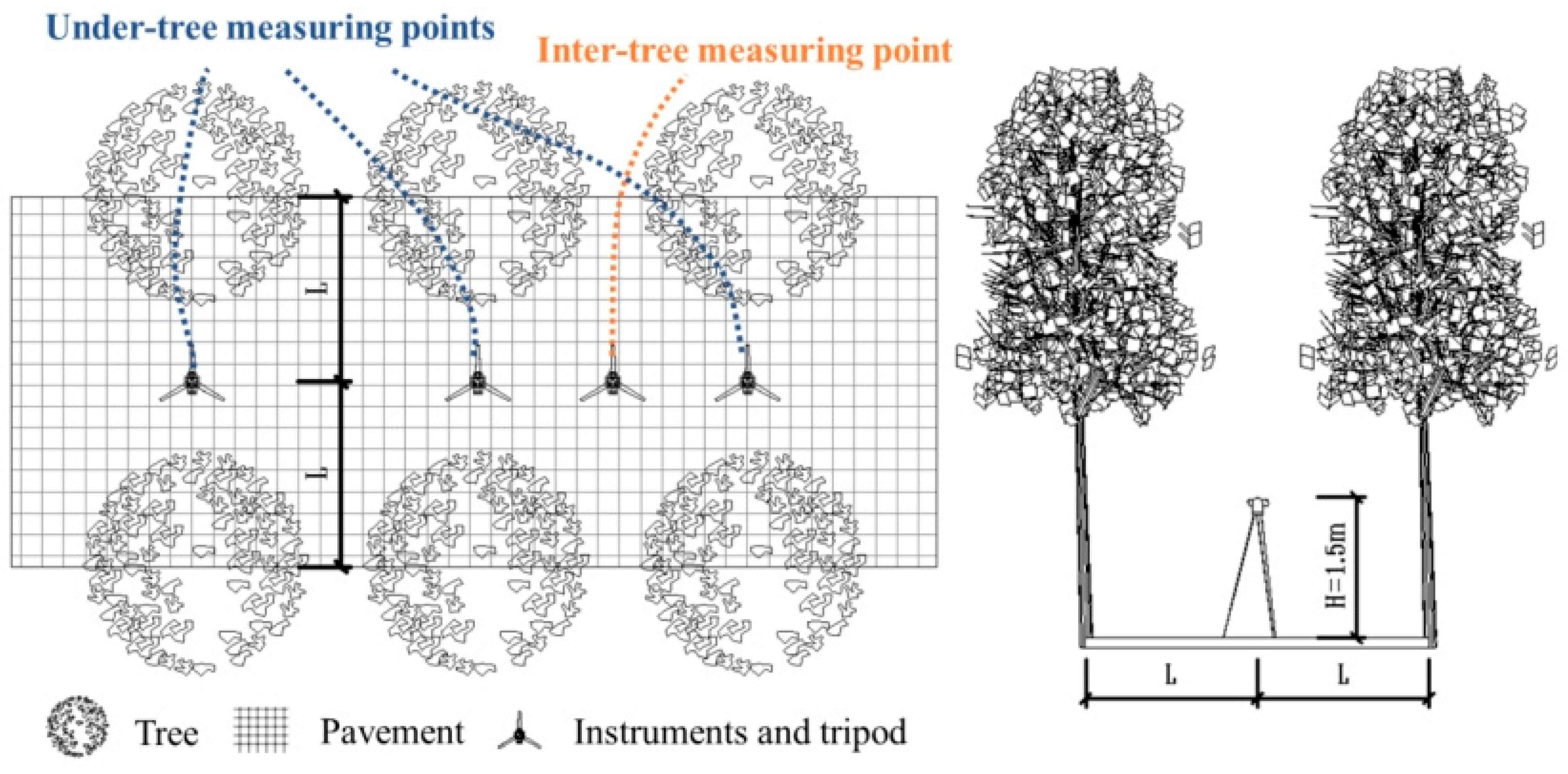 Forests 15 01459 g005