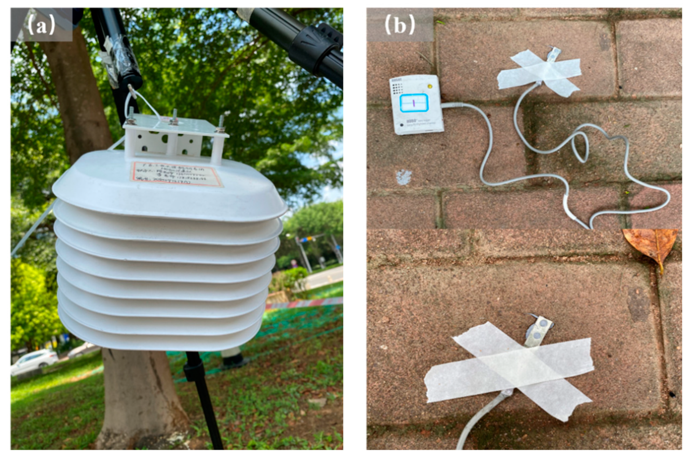 Forests 15 01459 g006