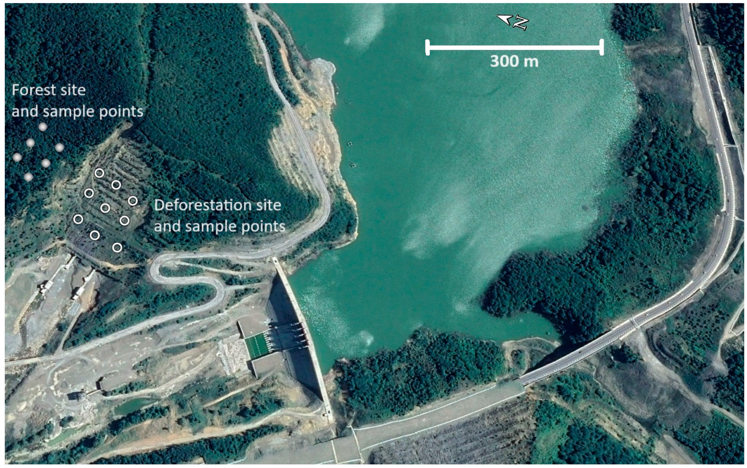 Forests 15 01468 g001