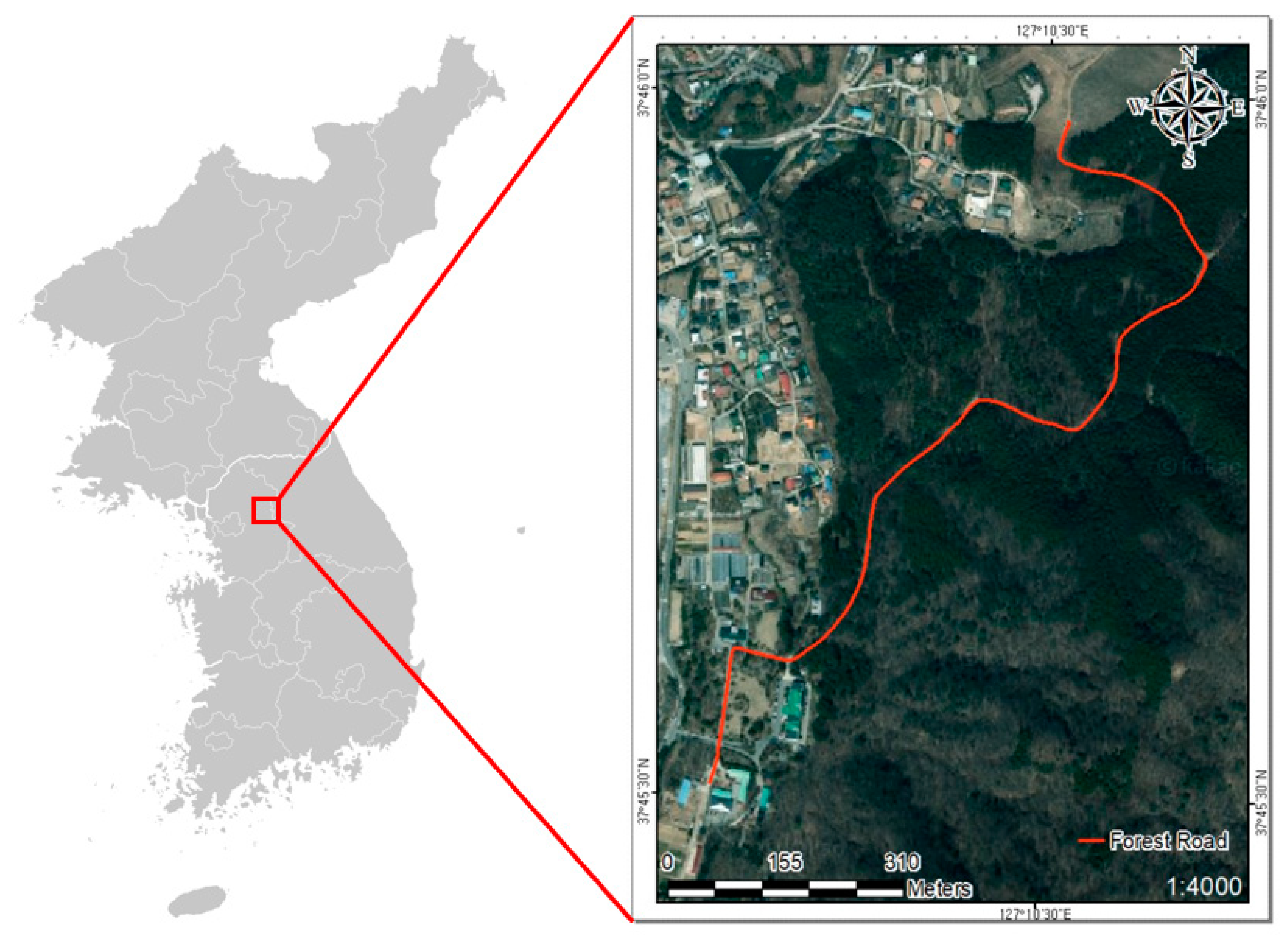 Forests 15 01469 g001