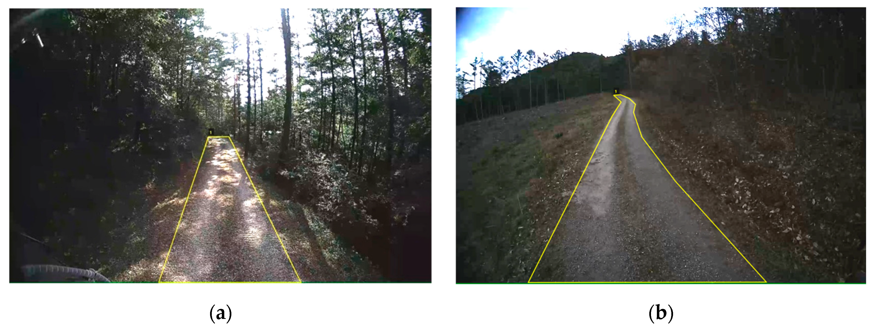 Forests 15 01469 g003