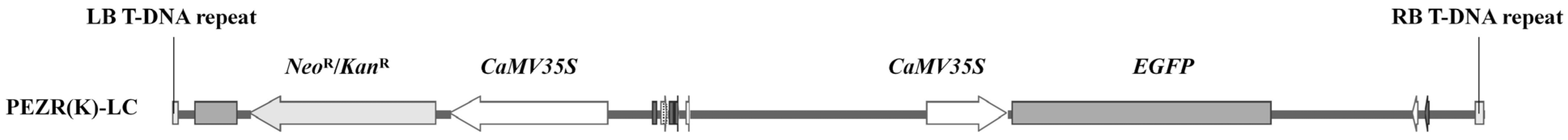 Forests 15 01474 g002