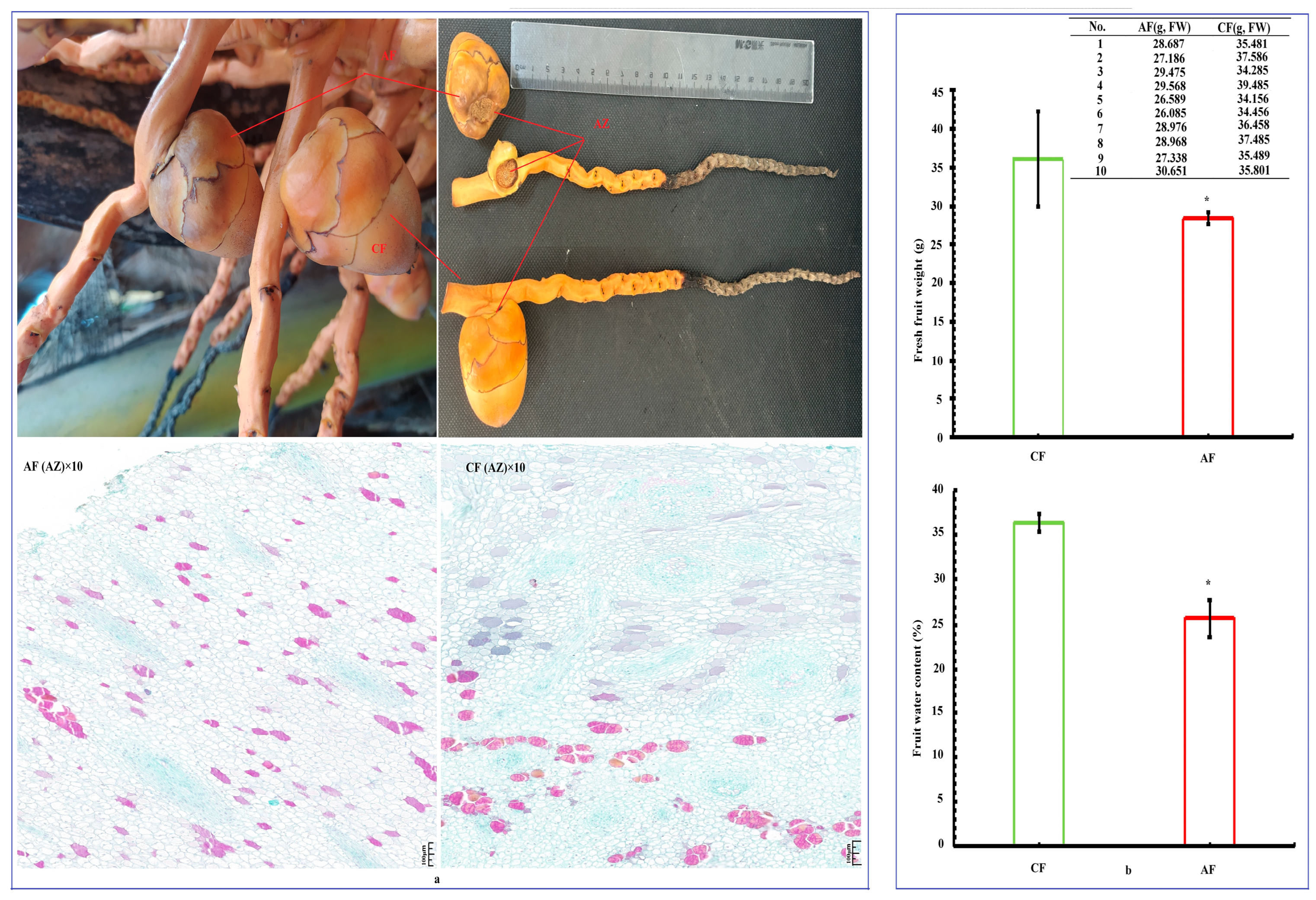 Forests 15 01475 g001