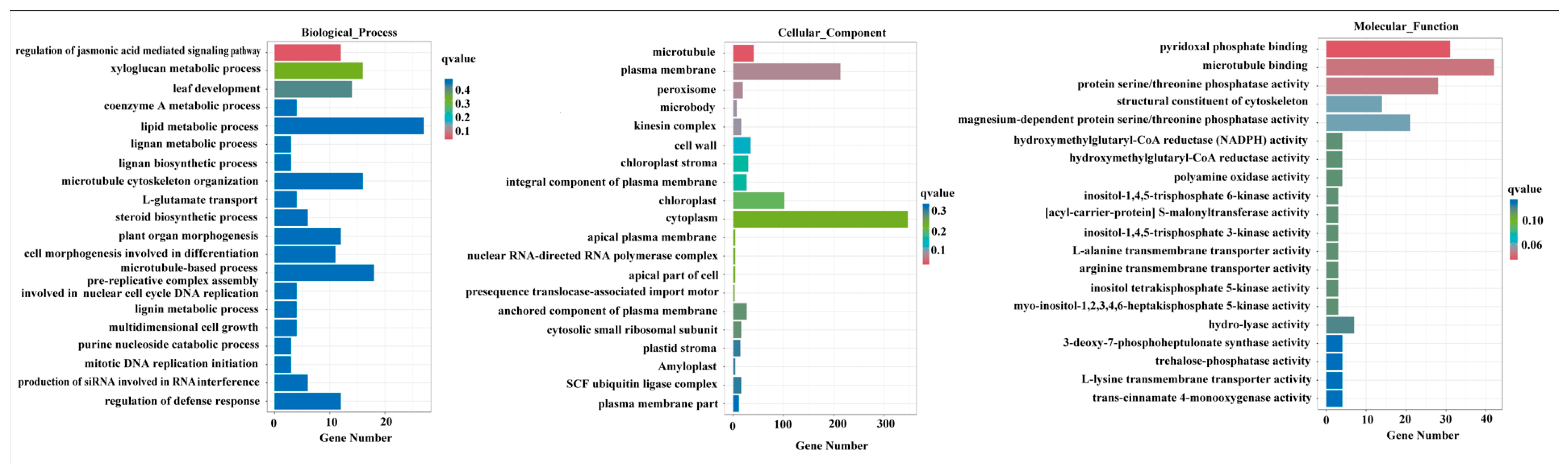 Forests 15 01475 g003