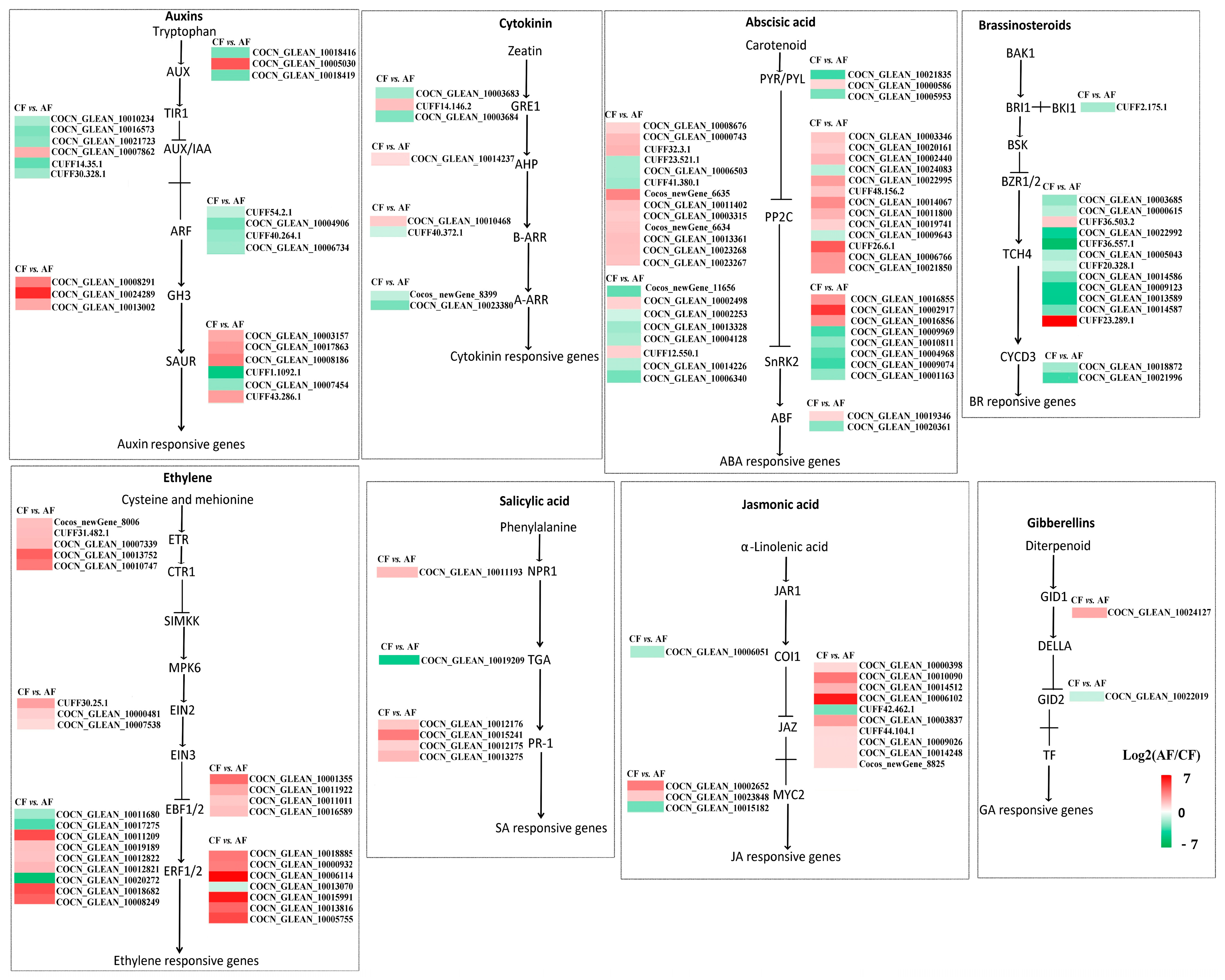 Forests 15 01475 g007