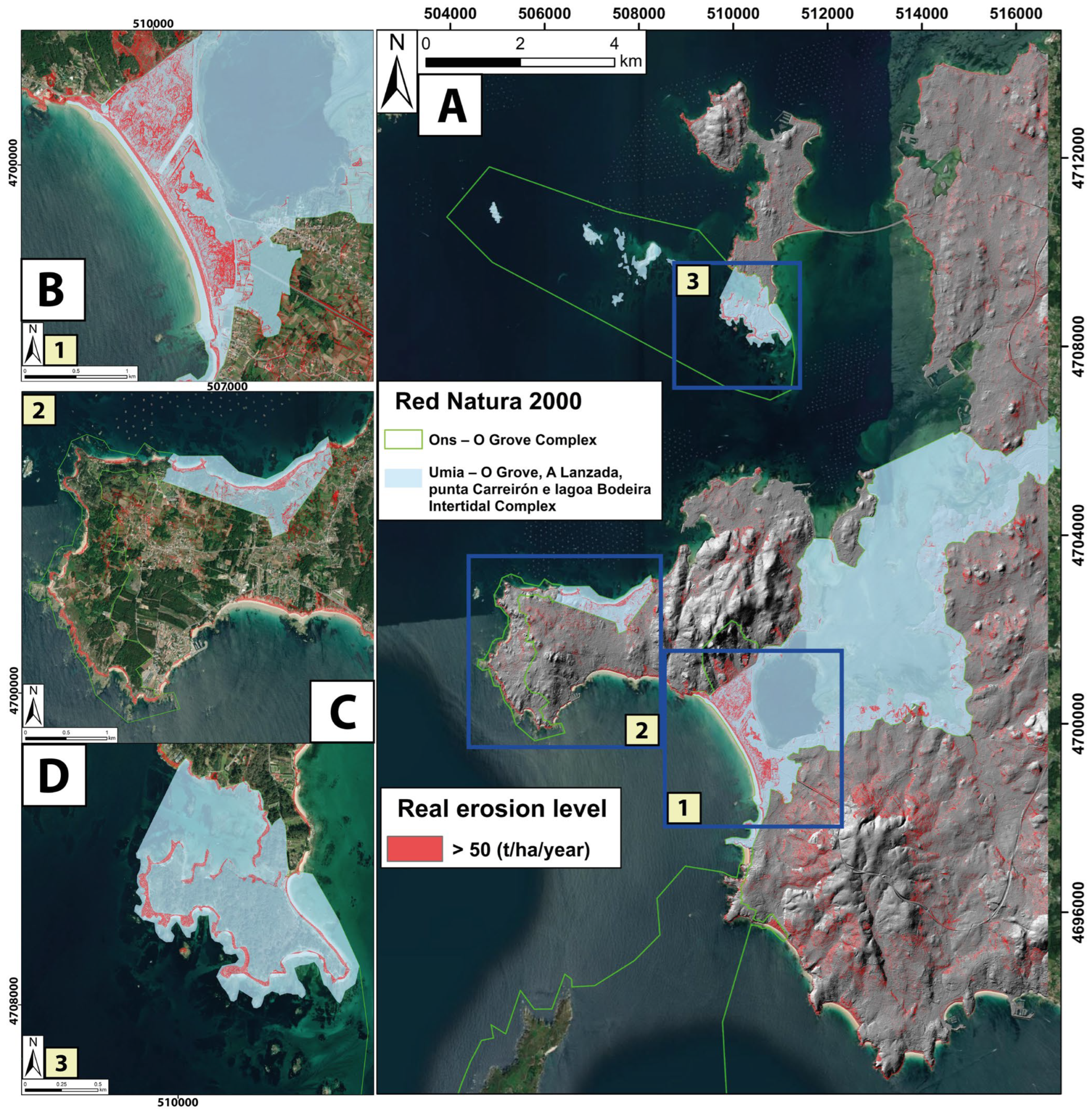 Forests 15 01481 g010