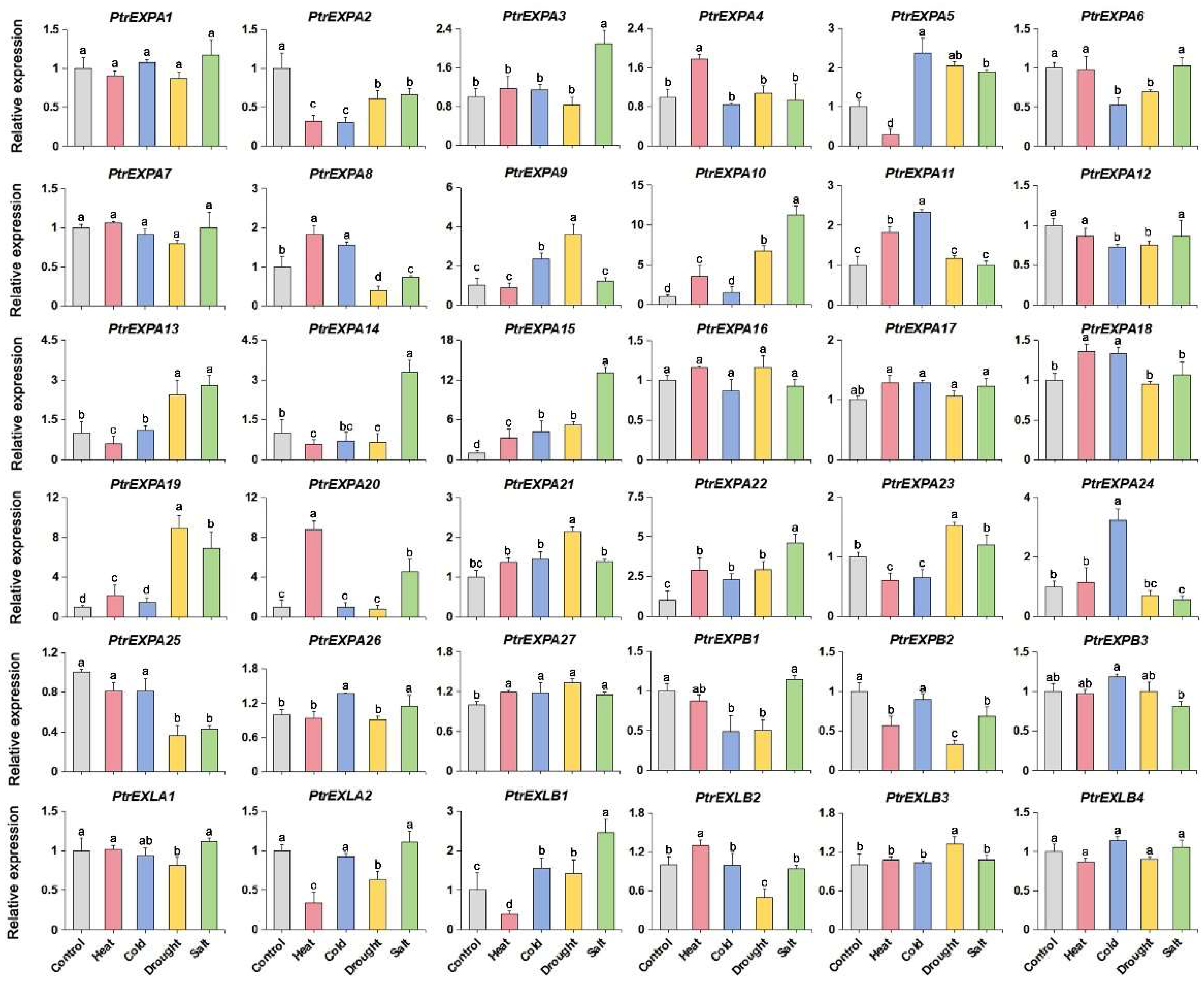 Forests 15 01485 g001