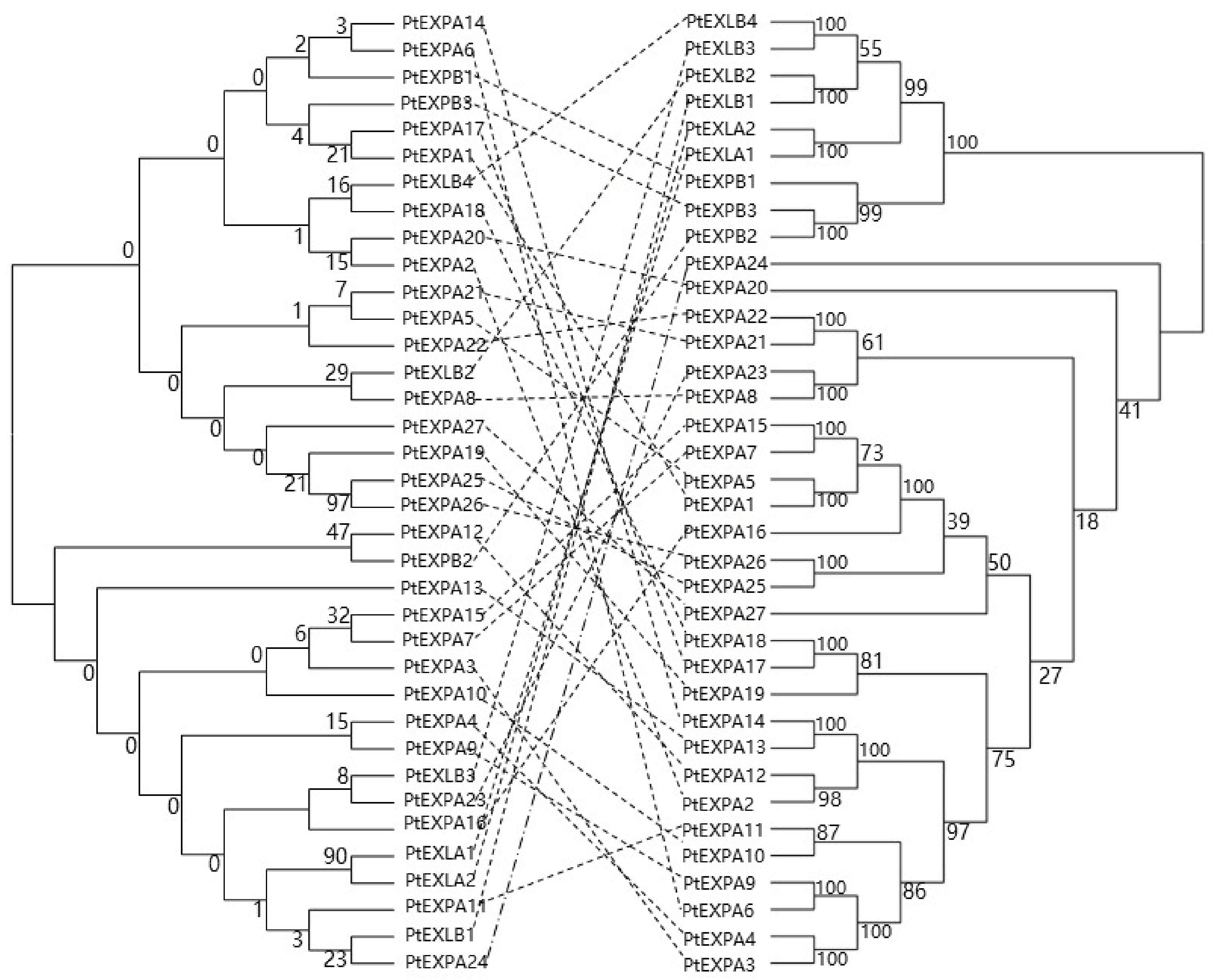 Forests 15 01485 g003