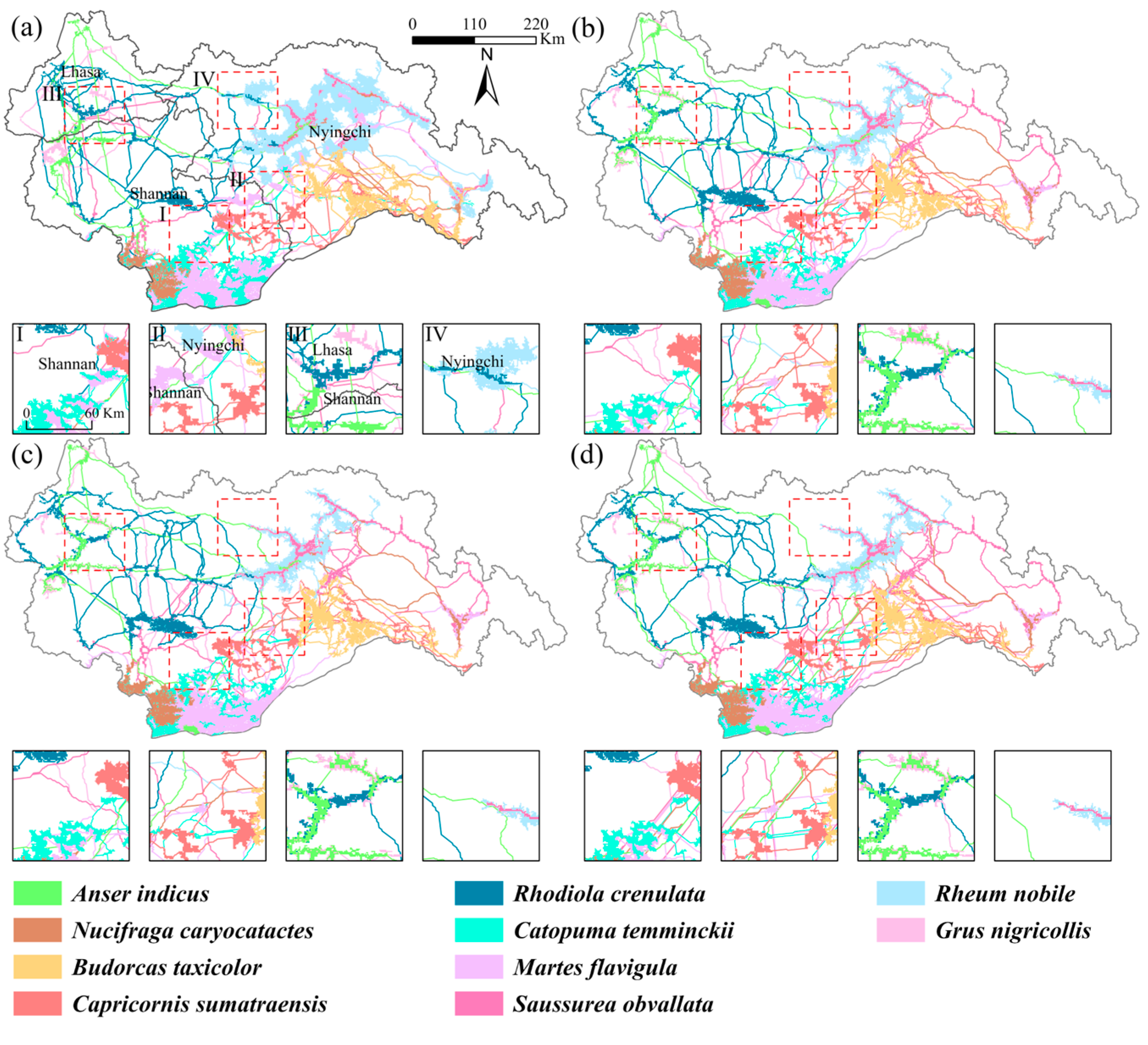 Forests 15 01506 g005
