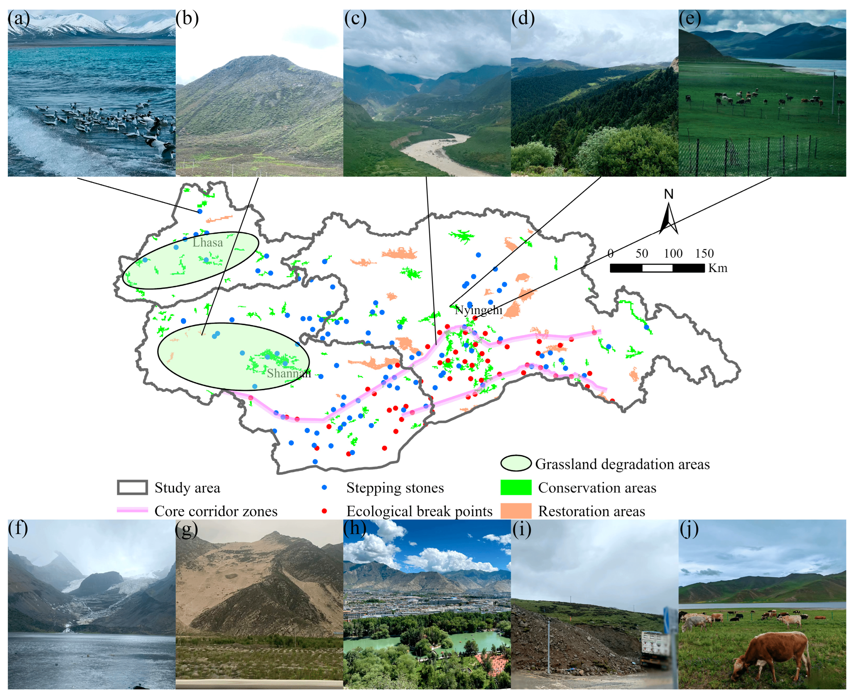 Forests 15 01506 g008