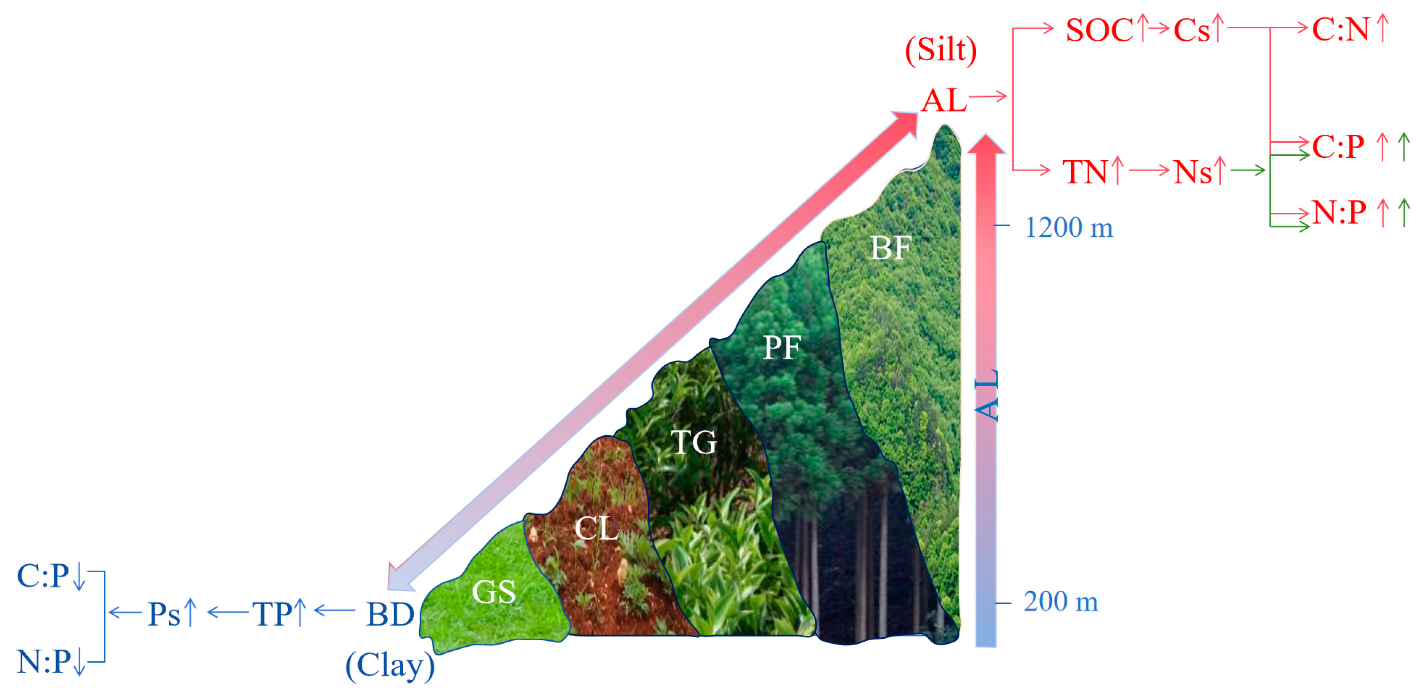 Forests 15 01515 g007
