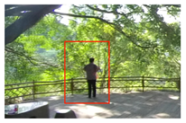 Forests 15 01519 i002