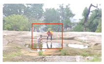 Forests 15 01519 i005