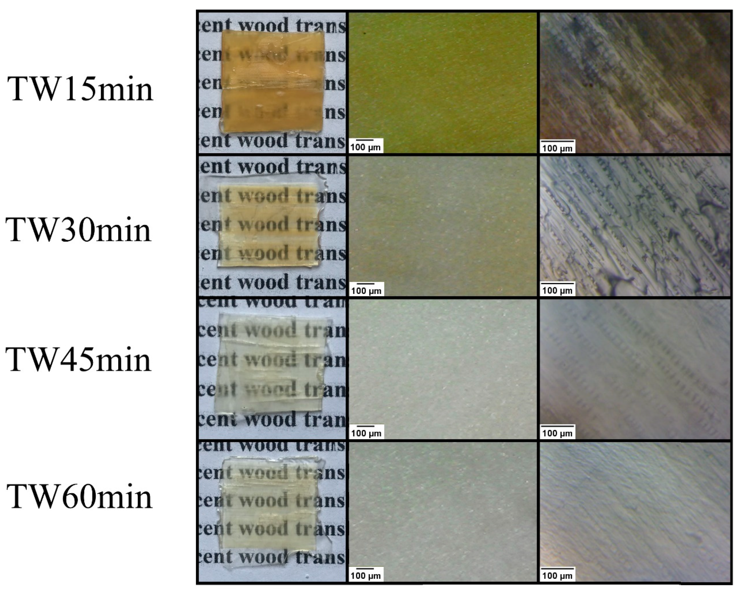 Forests 15 01544 g010