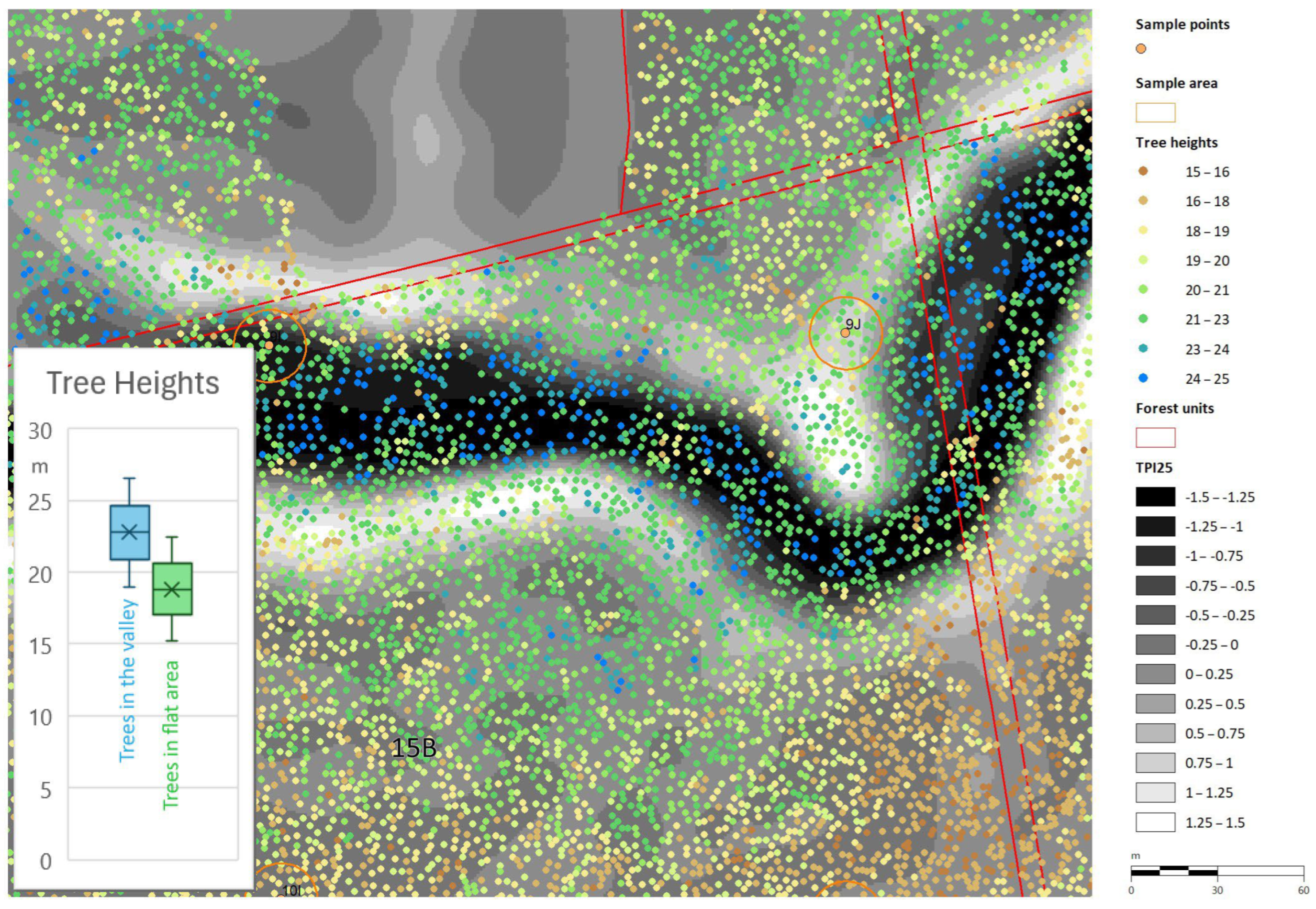 Forests 15 01546 g011