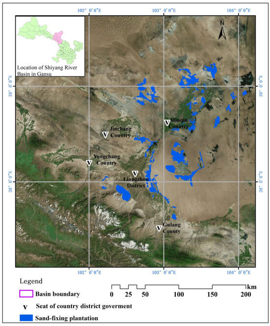 Carbon Sequestration Characteristics of Typical Sand-Fixing