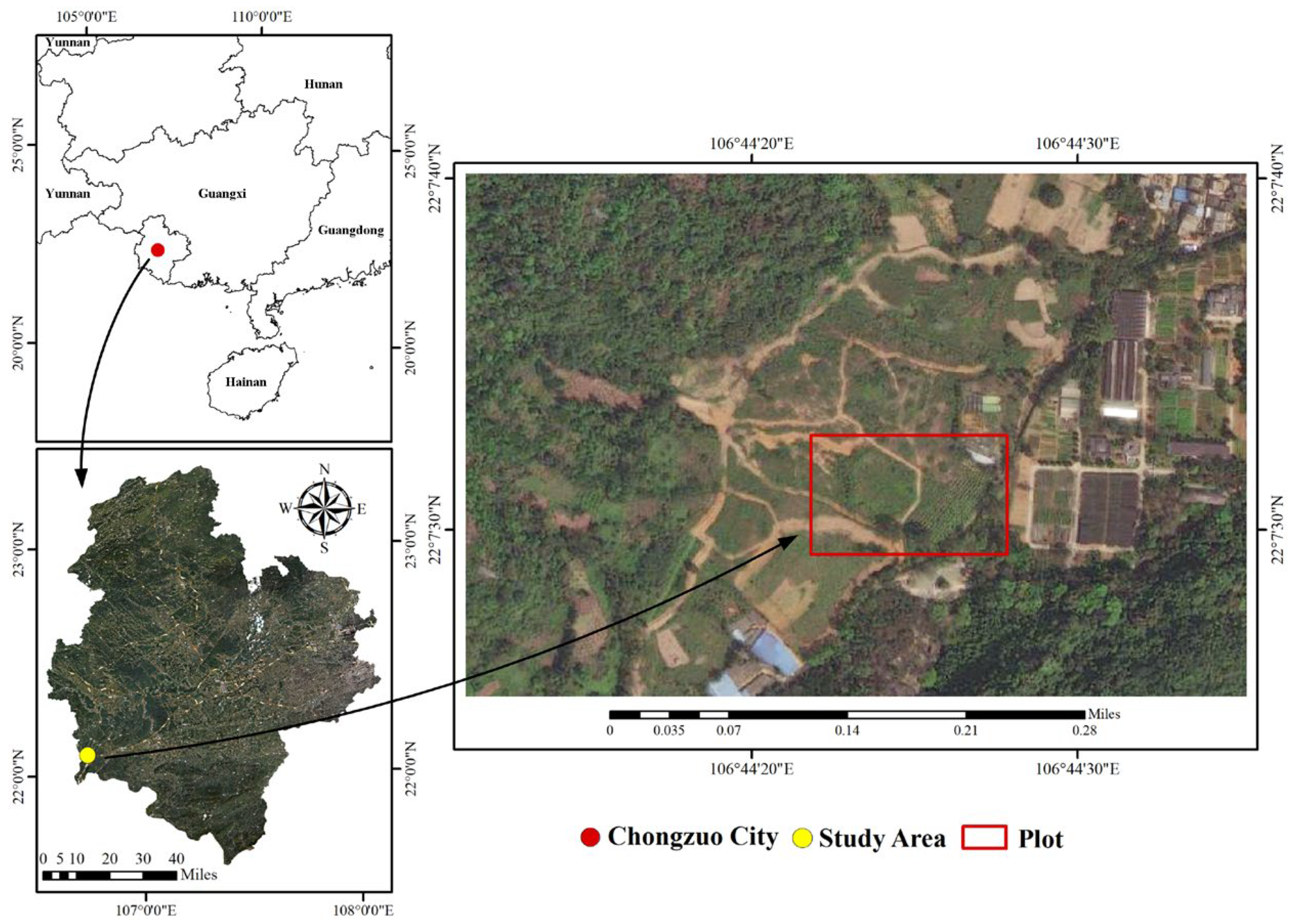 Forests 15 01558 g001