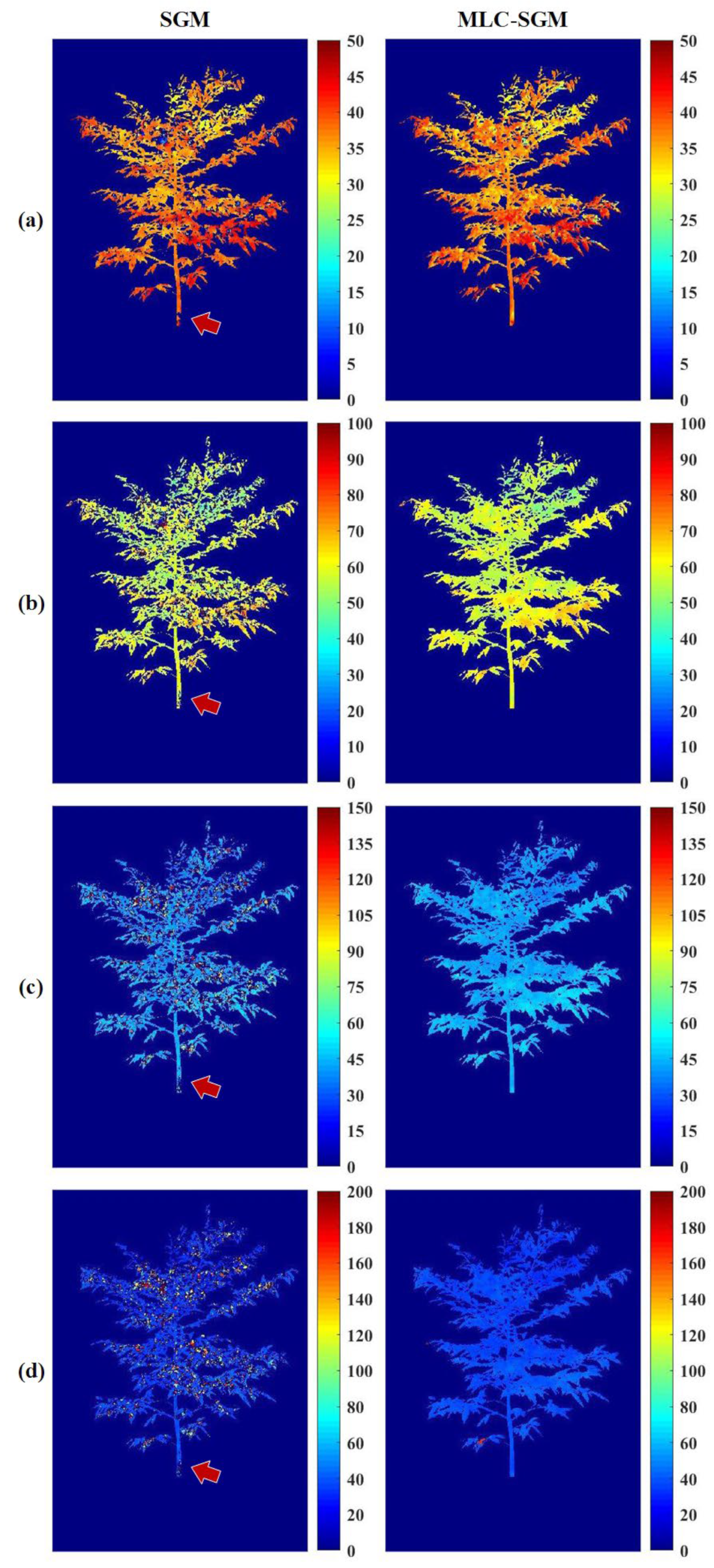 Forests 15 01558 g009