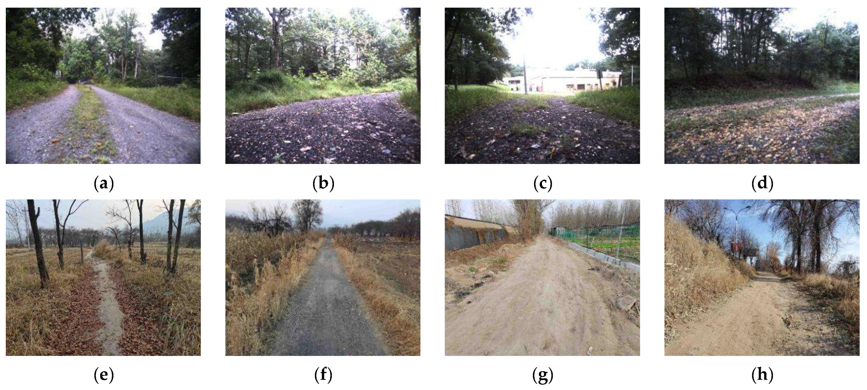 Forests 15 01559 g006a