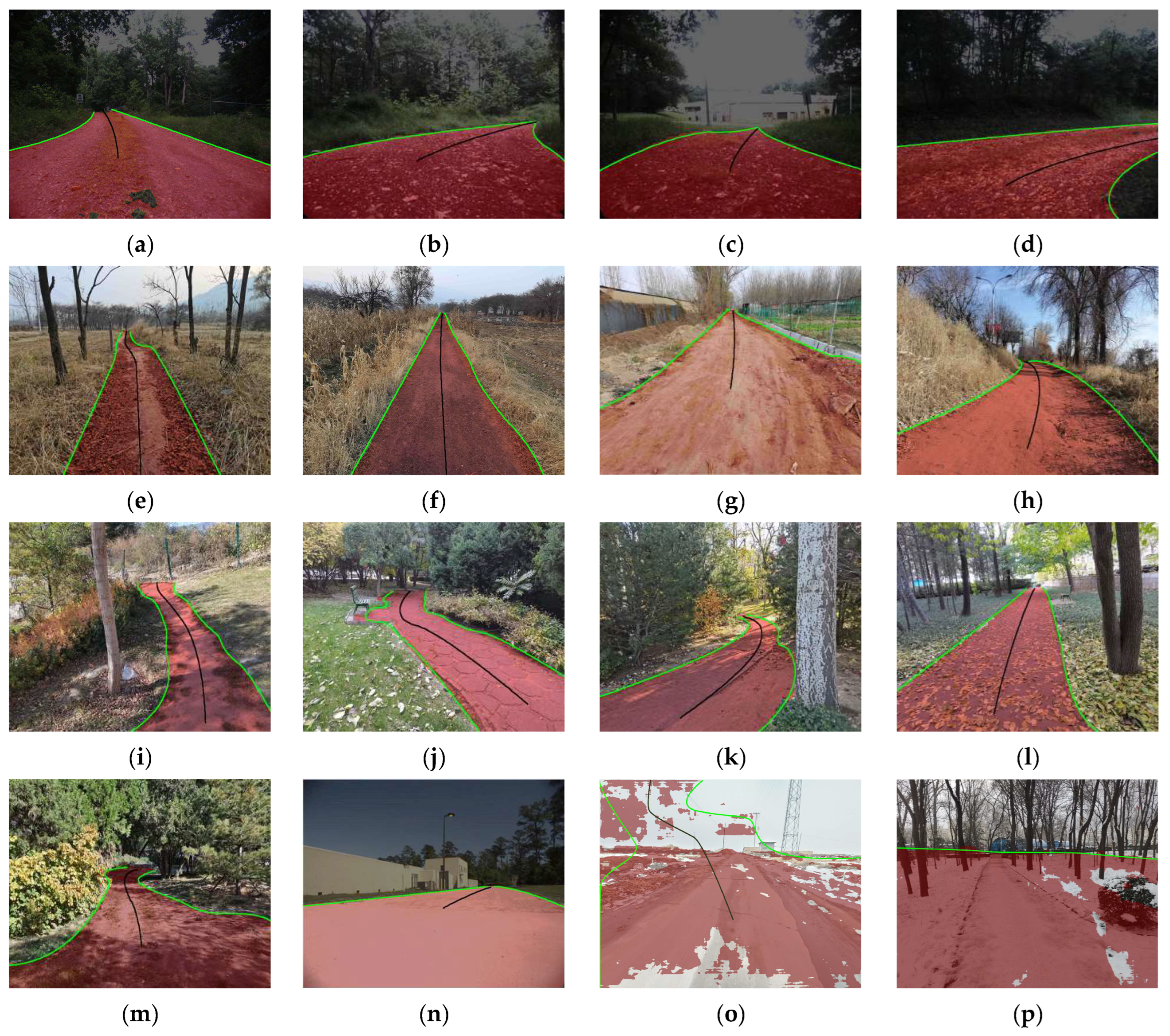 Forests 15 01559 g007