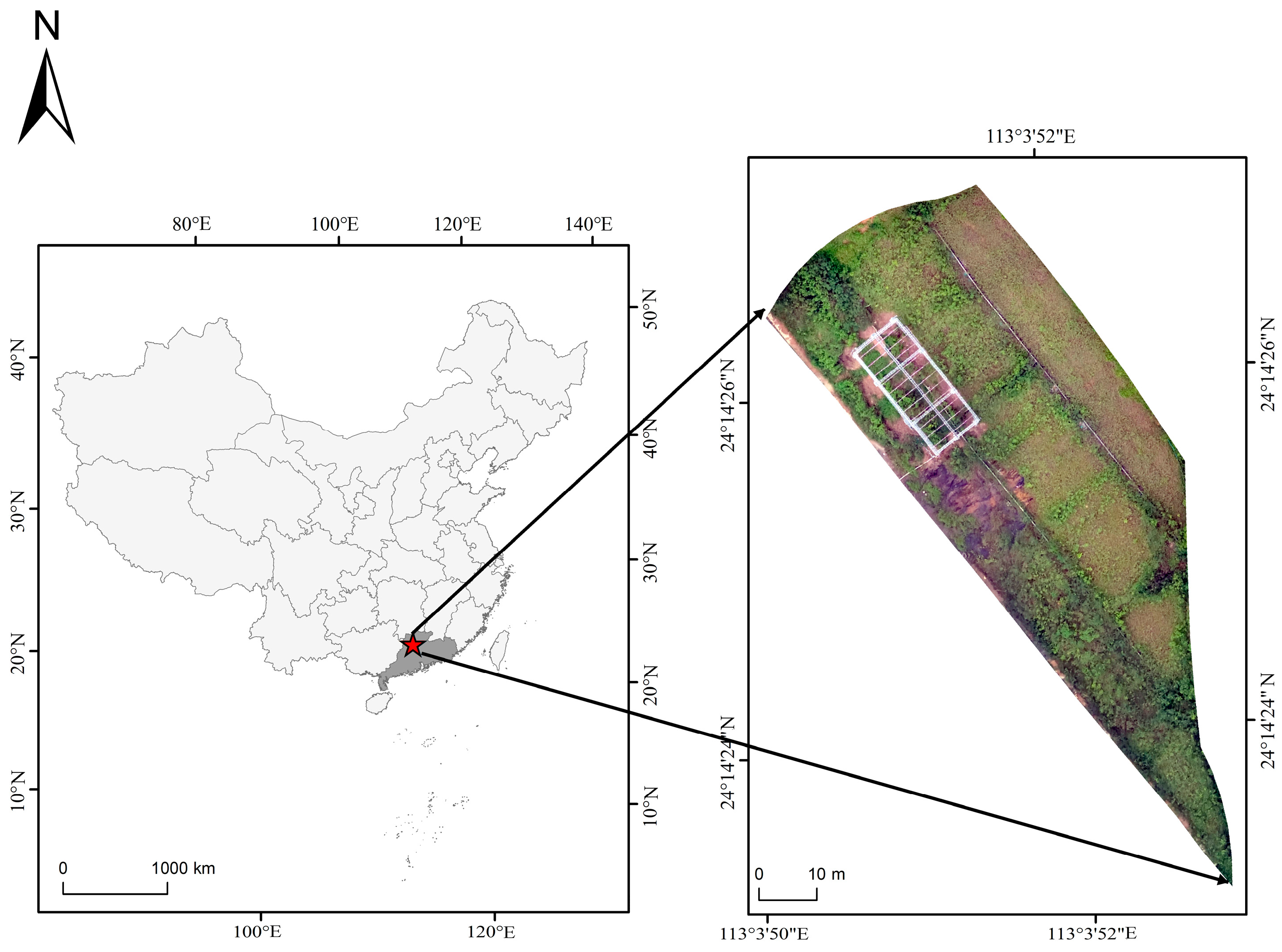 Forests 15 01564 g001