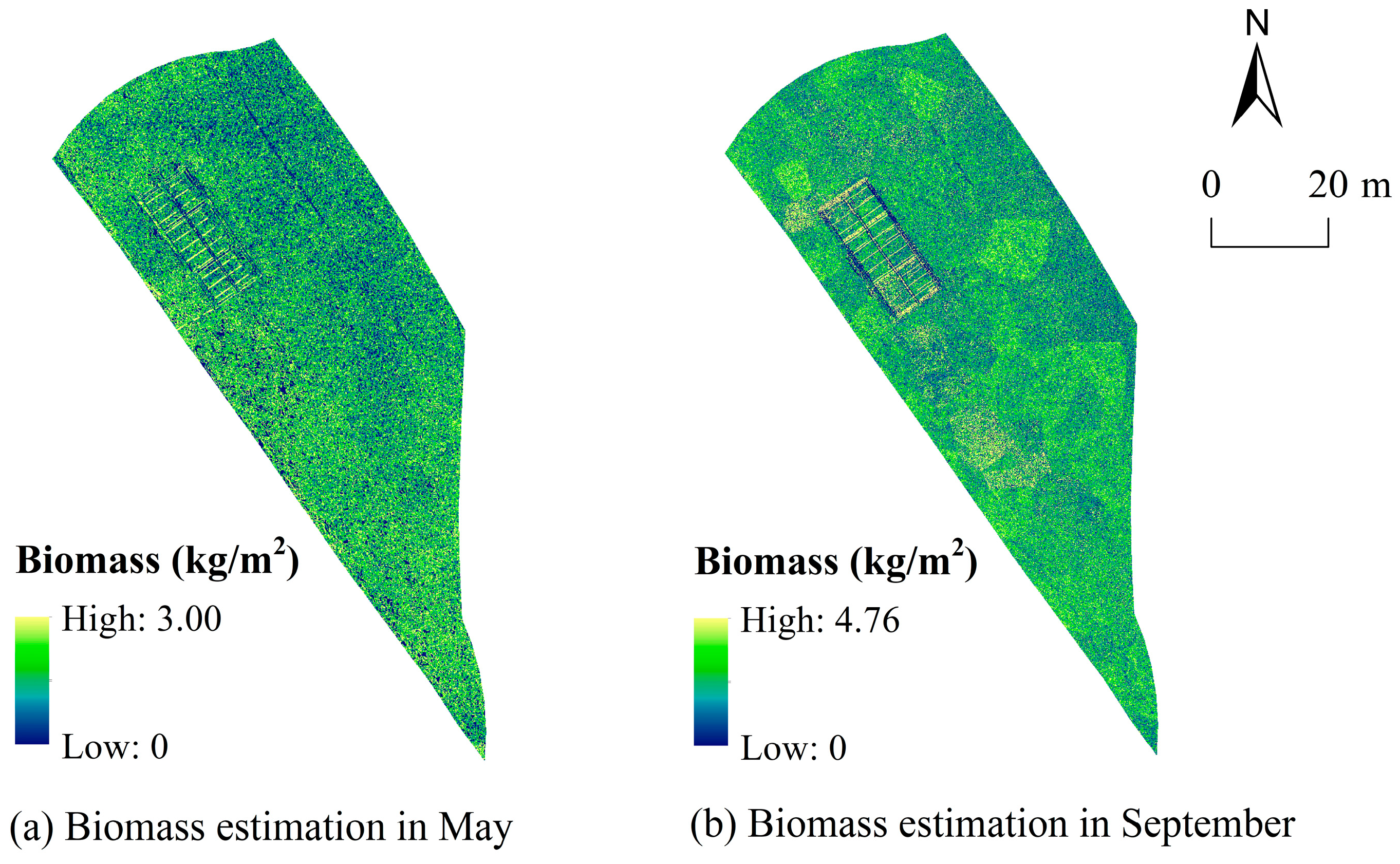 Forests 15 01564 g004