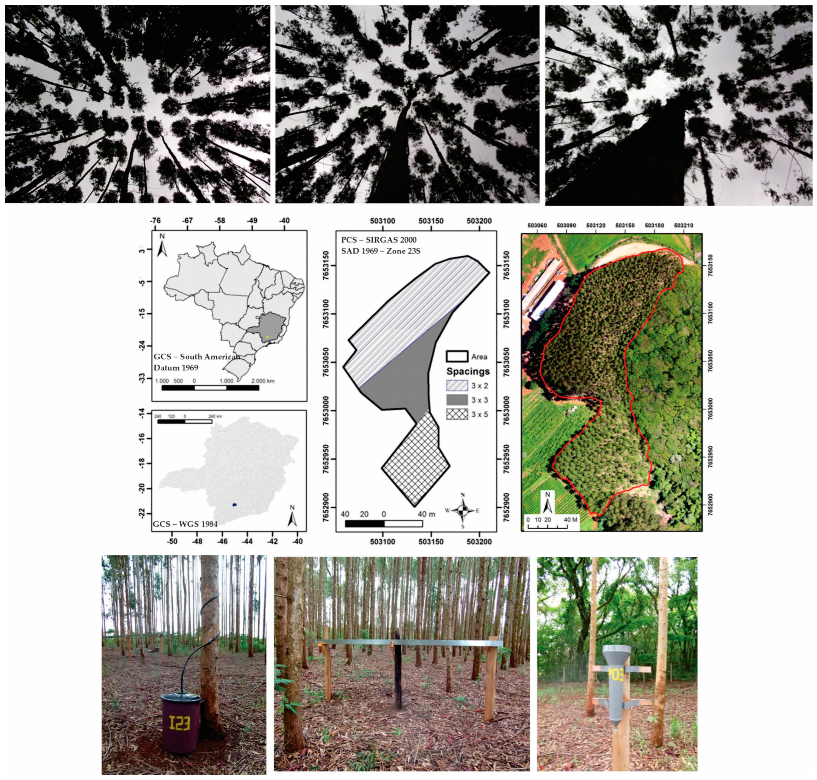 Forests 15 01577 g001
