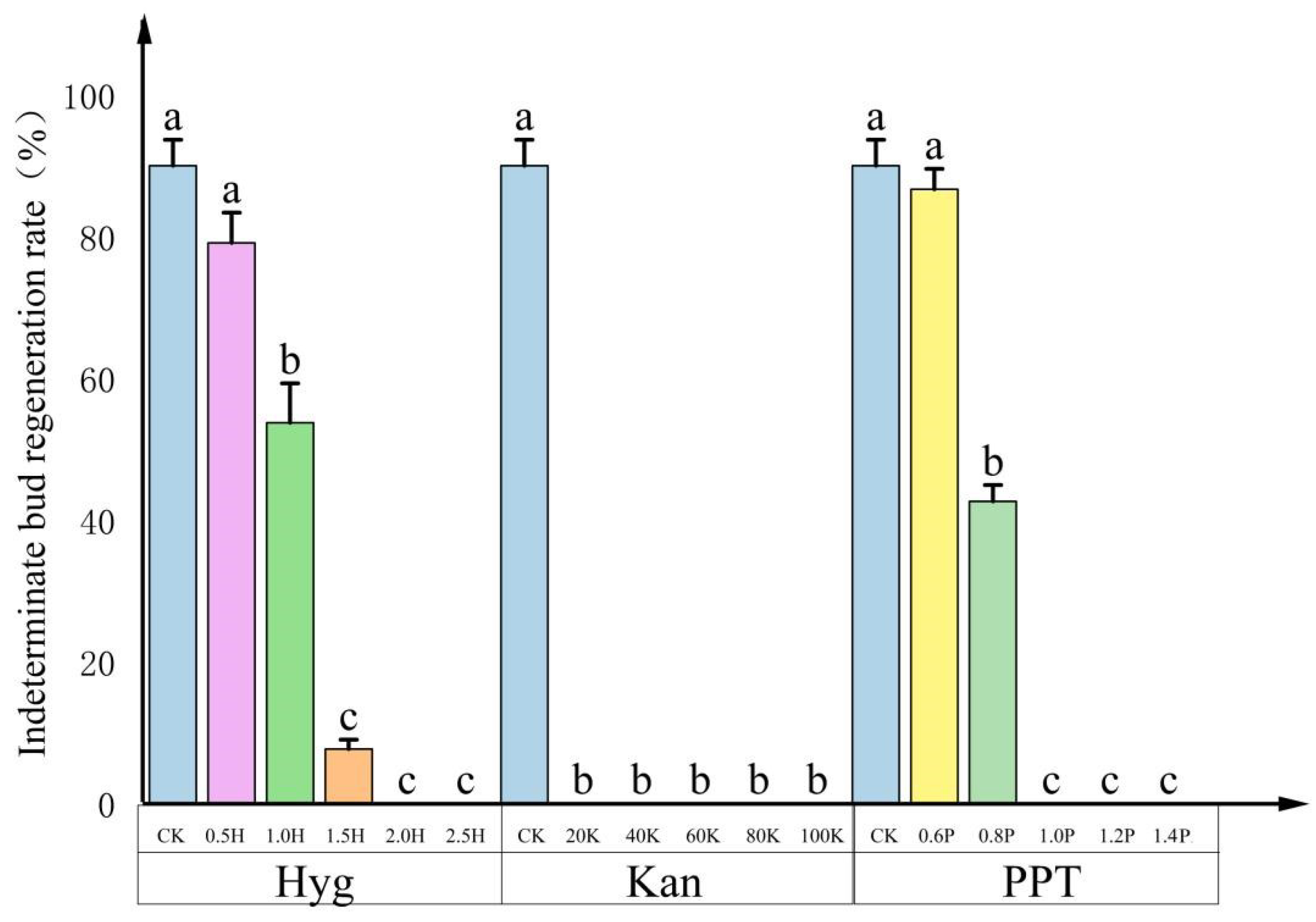 Forests 15 01580 g002