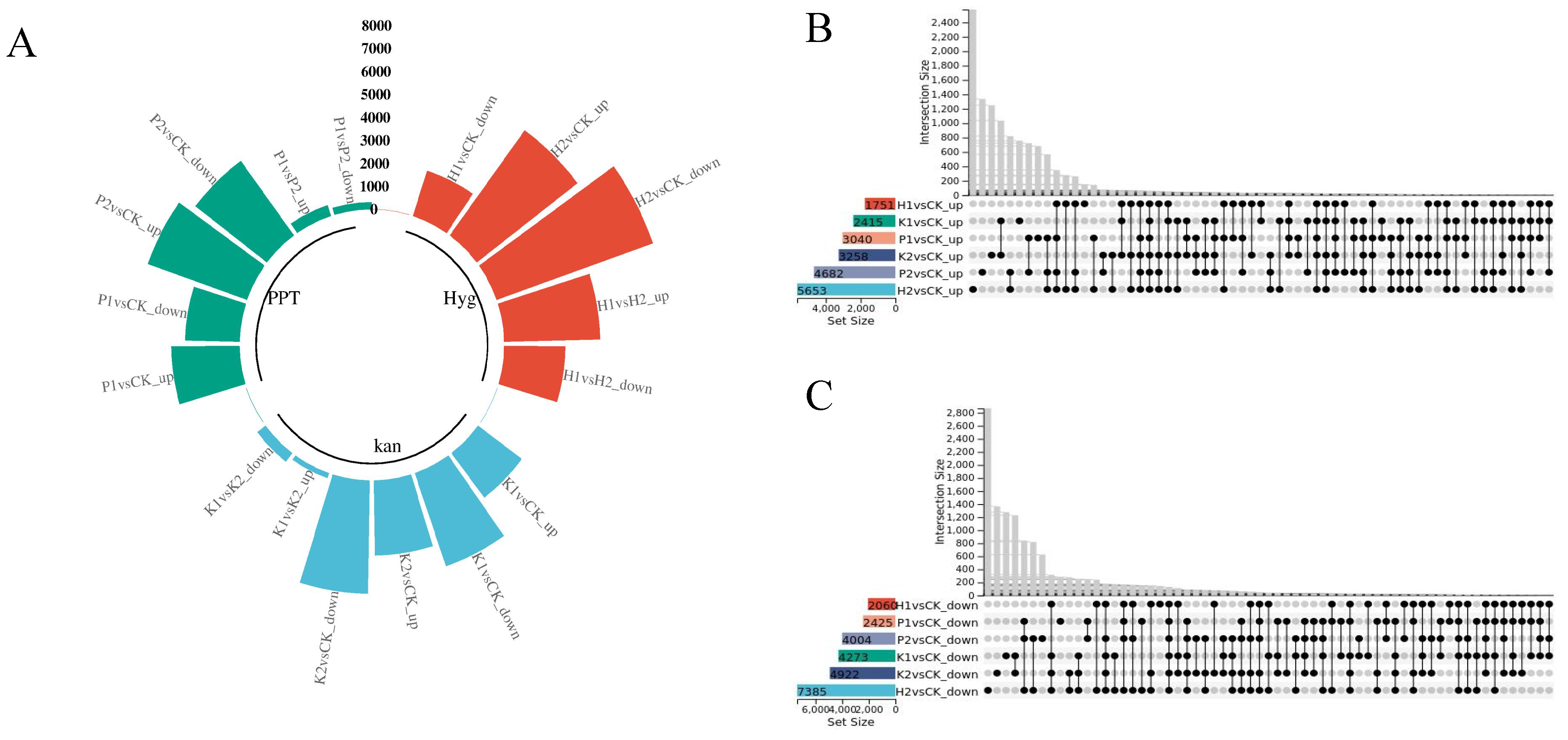 Forests 15 01580 g004
